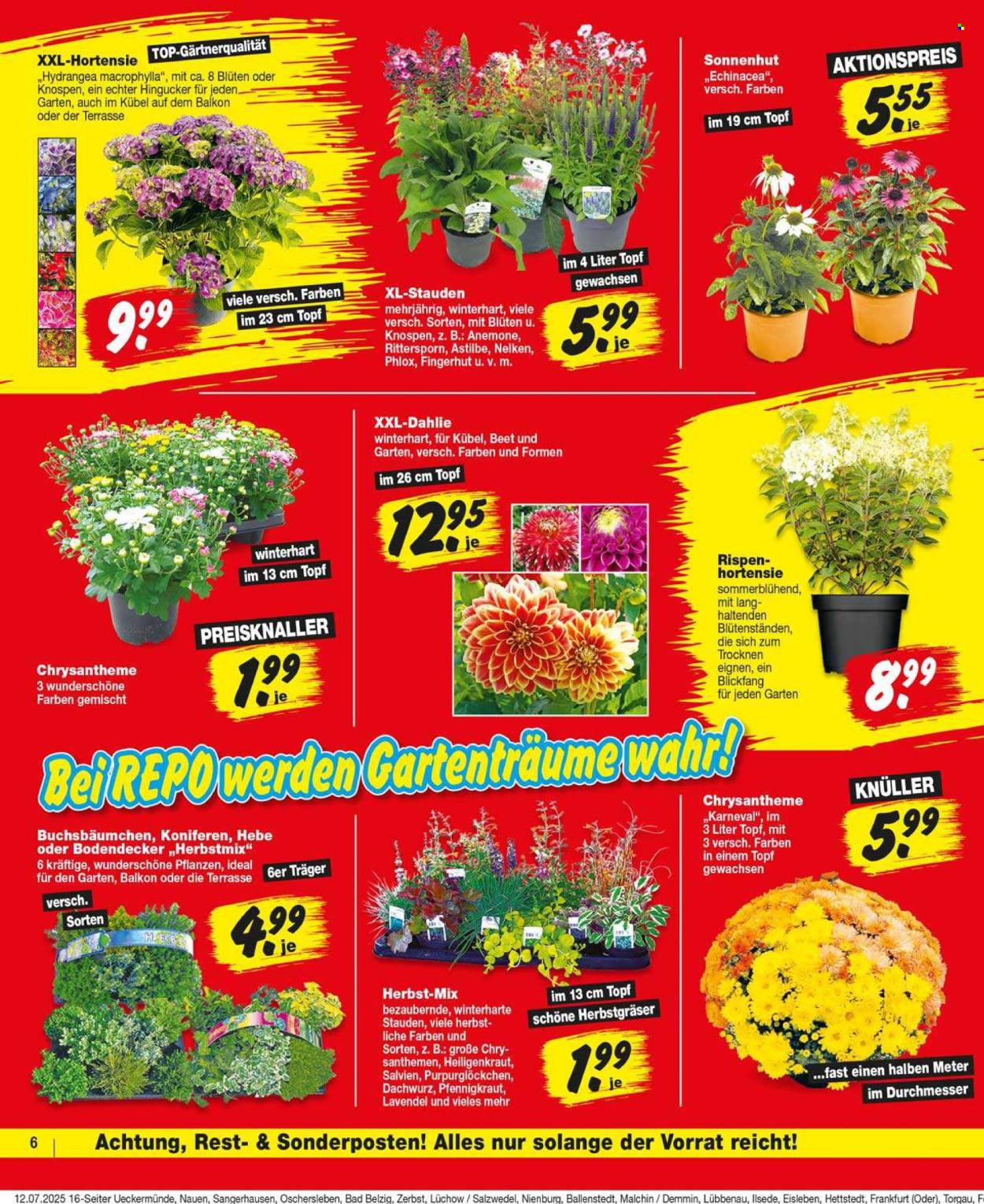 Repo Prospekte  - 14.07.2025 - 19.07.2025. Seite 6