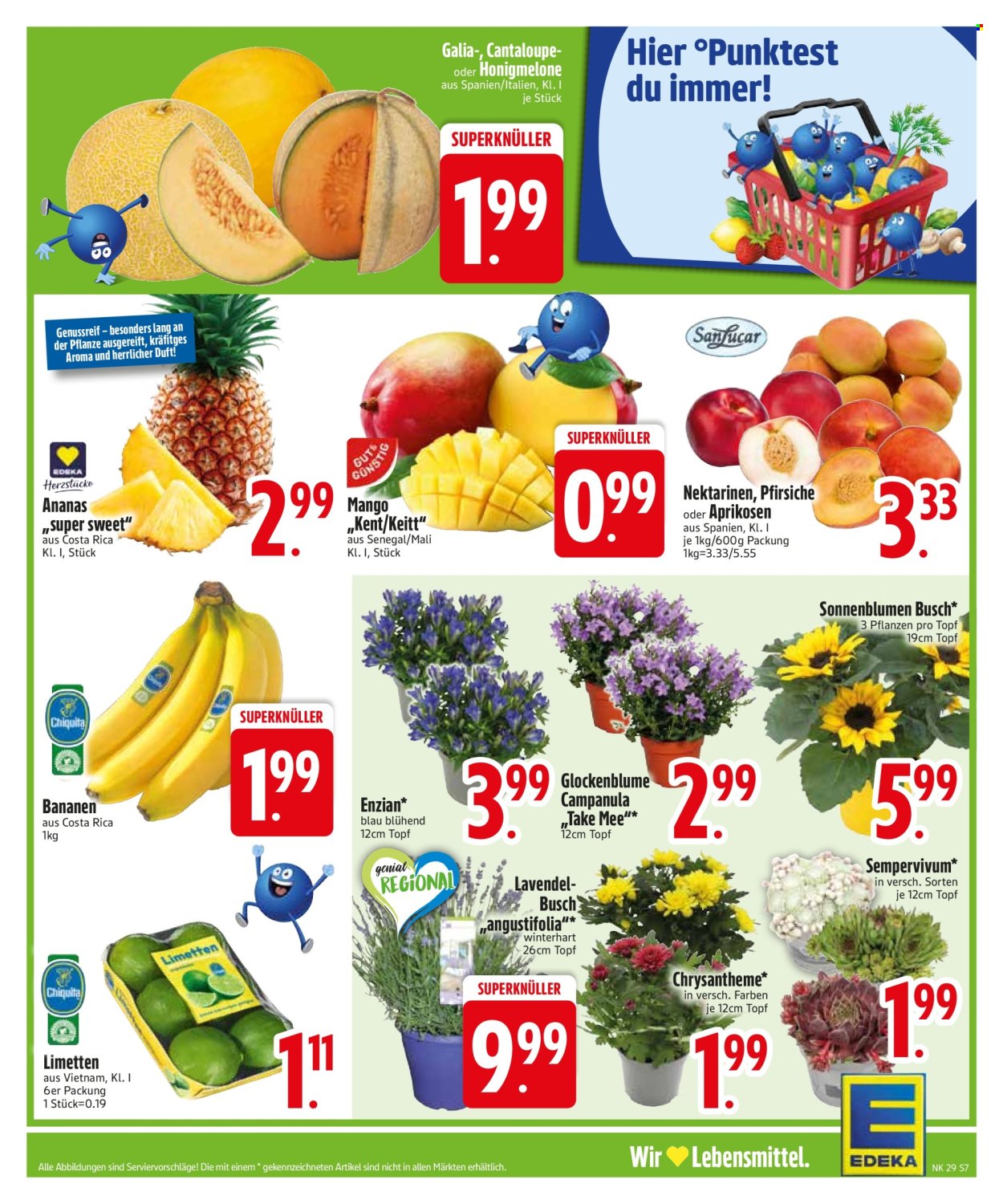 Edeka Prospekte  - 14.07.2025 - 19.07.2025. Seite 7