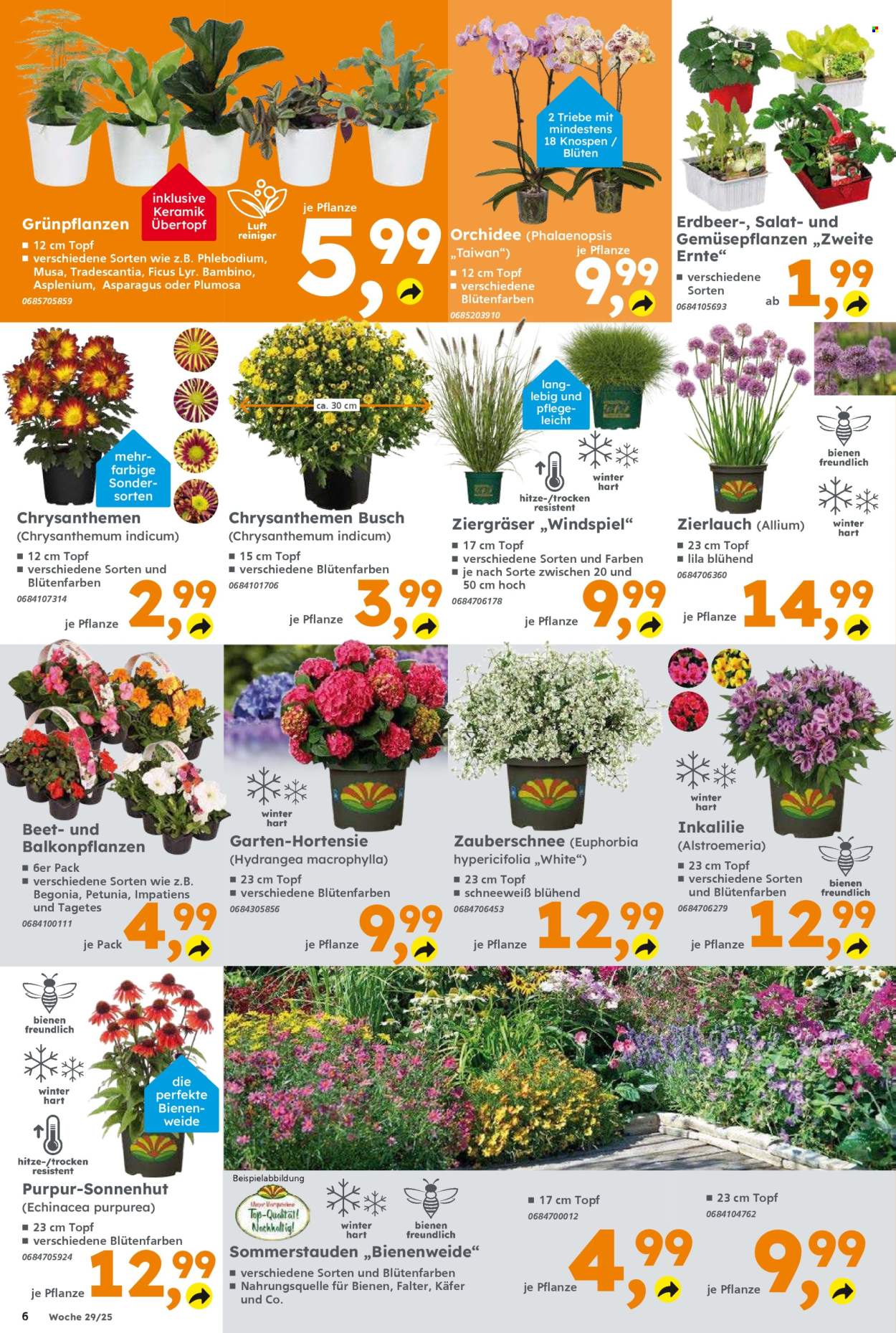 Globus Baumarkt Prospekte  - 14.07.2025 - 19.07.2025. Seite 6