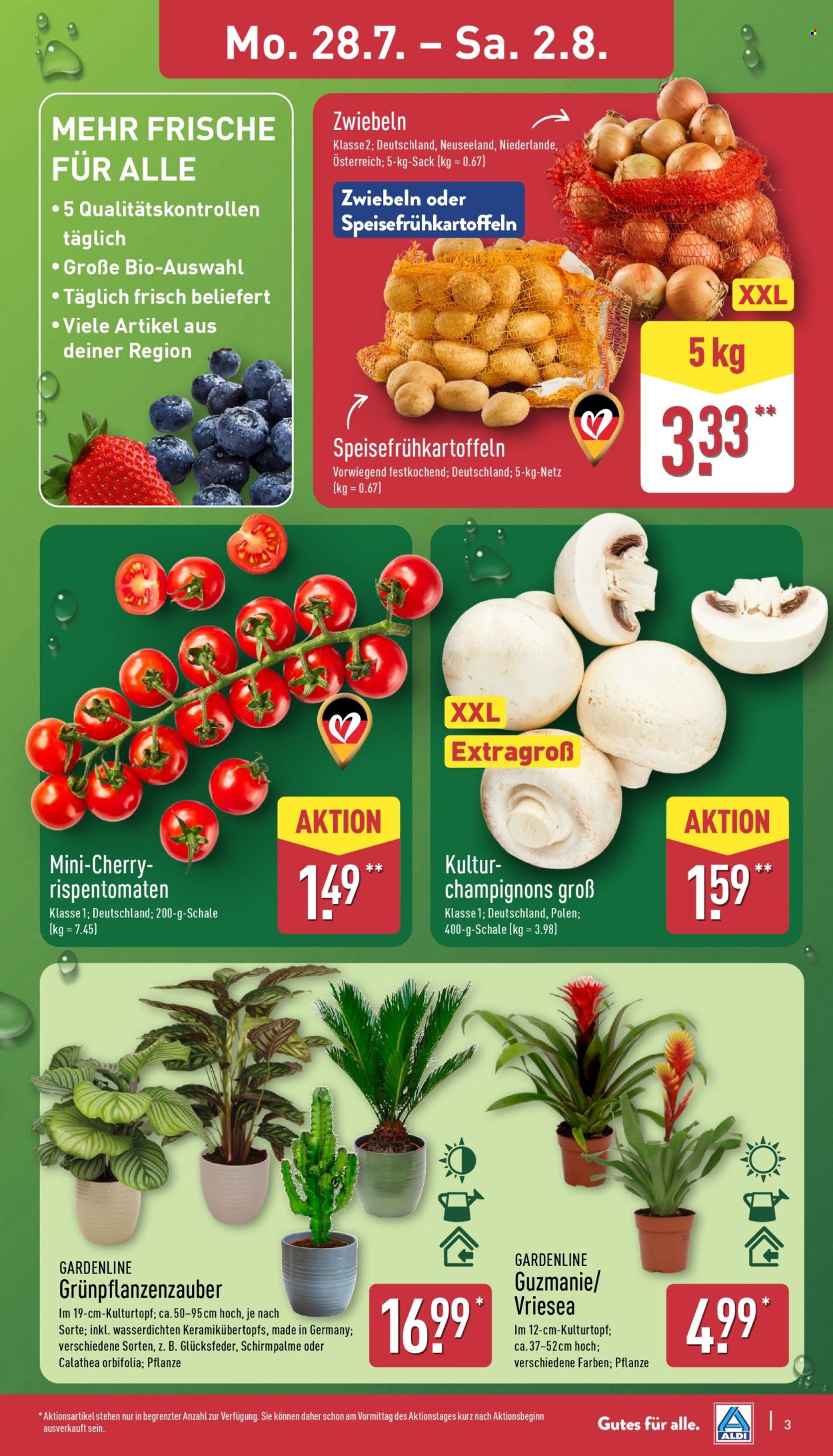 ALDI Nord Prospekte  - 28.07.2025 - 2.08.2025. Seite 3