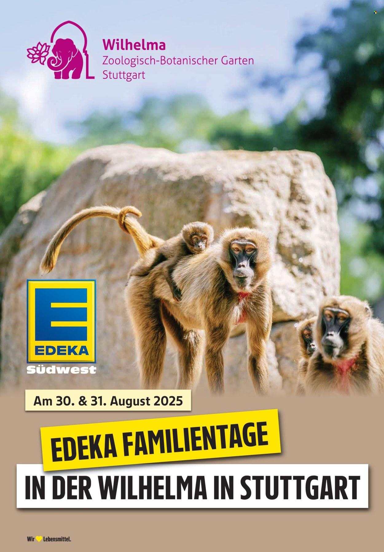 Edeka Prospekte  - 21.07.2025 - 26.07.2025. Seite 40