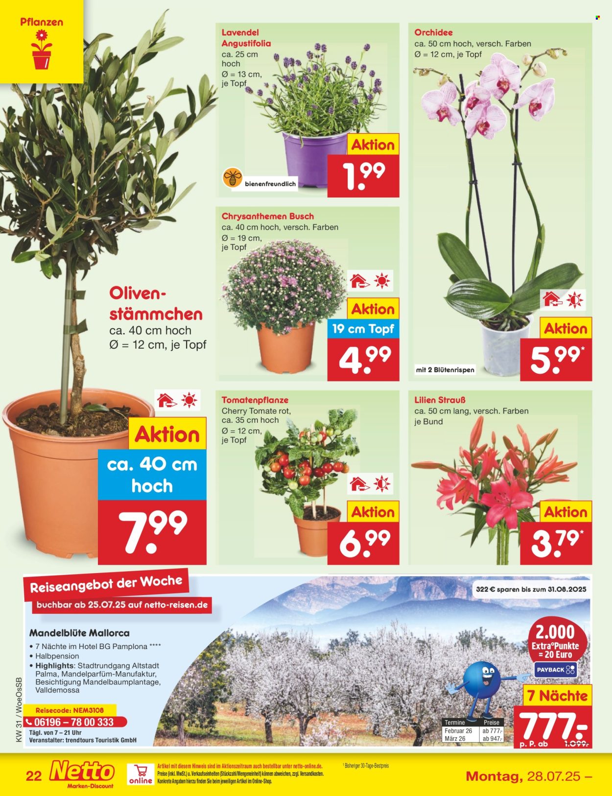 Netto Marken-Discount Prospekte  - 28.07.2025 - 2.08.2025. Seite 40