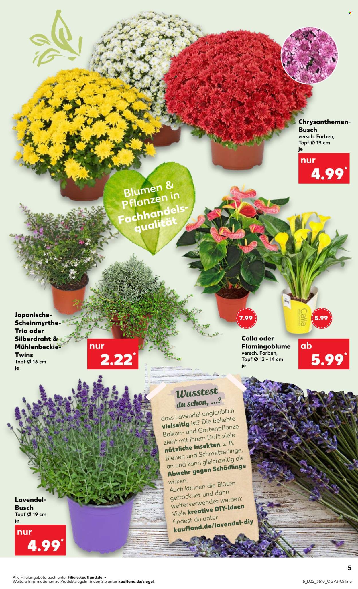 Kaufland Prospekte  - 7.08.2025 - 13.08.2025. Seite 5