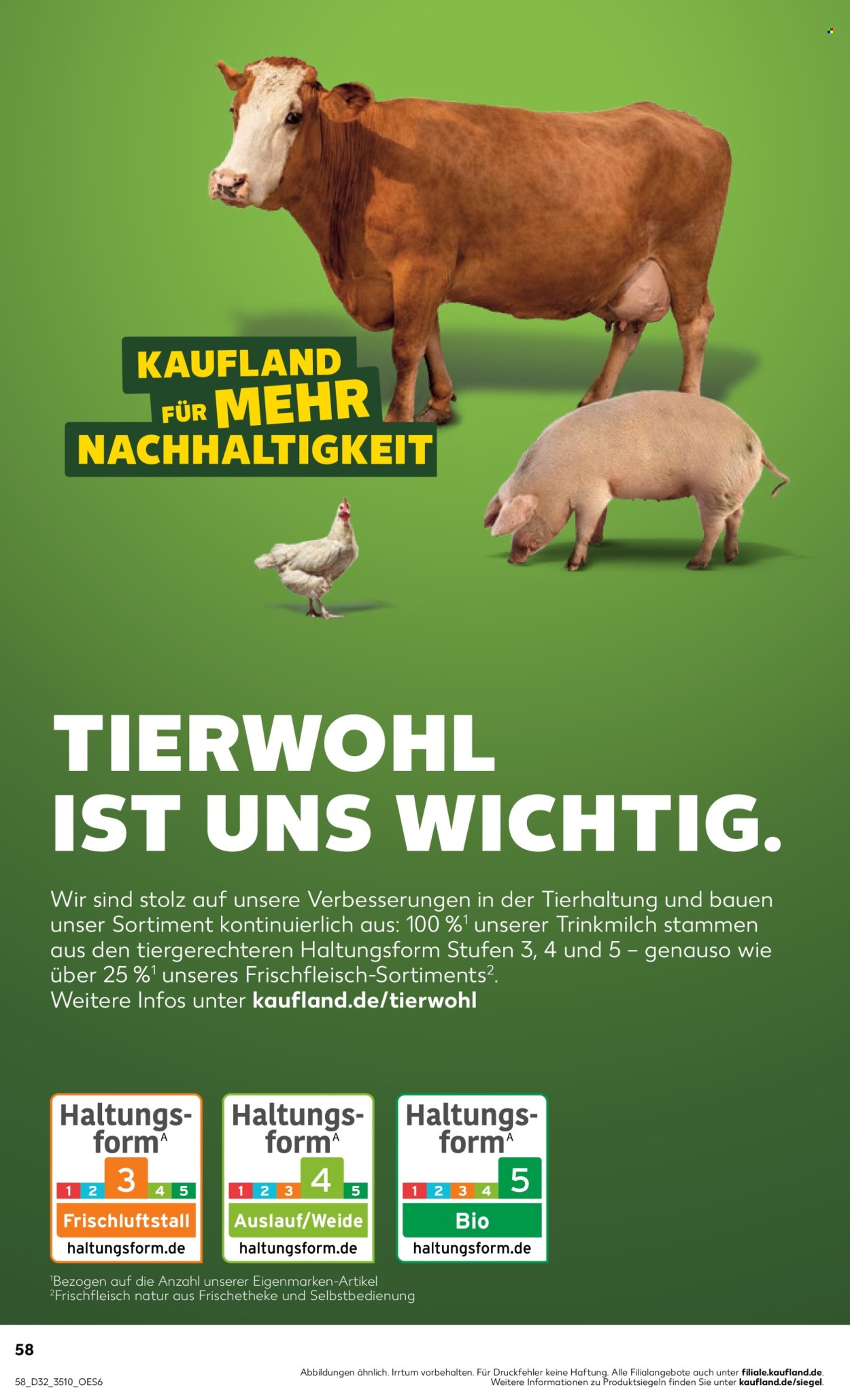Kaufland Prospekte  - 7.08.2025 - 13.08.2025. Seite 58
