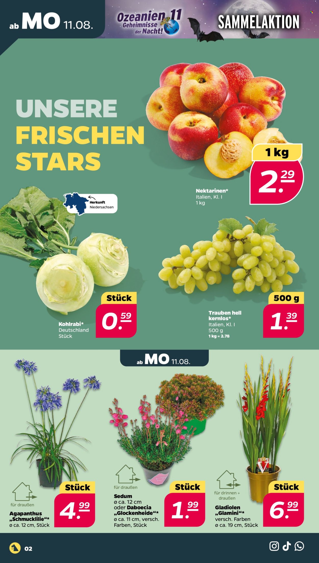 Netto Prospekte  - 11.08.2025 - 16.08.2025. Seite 2