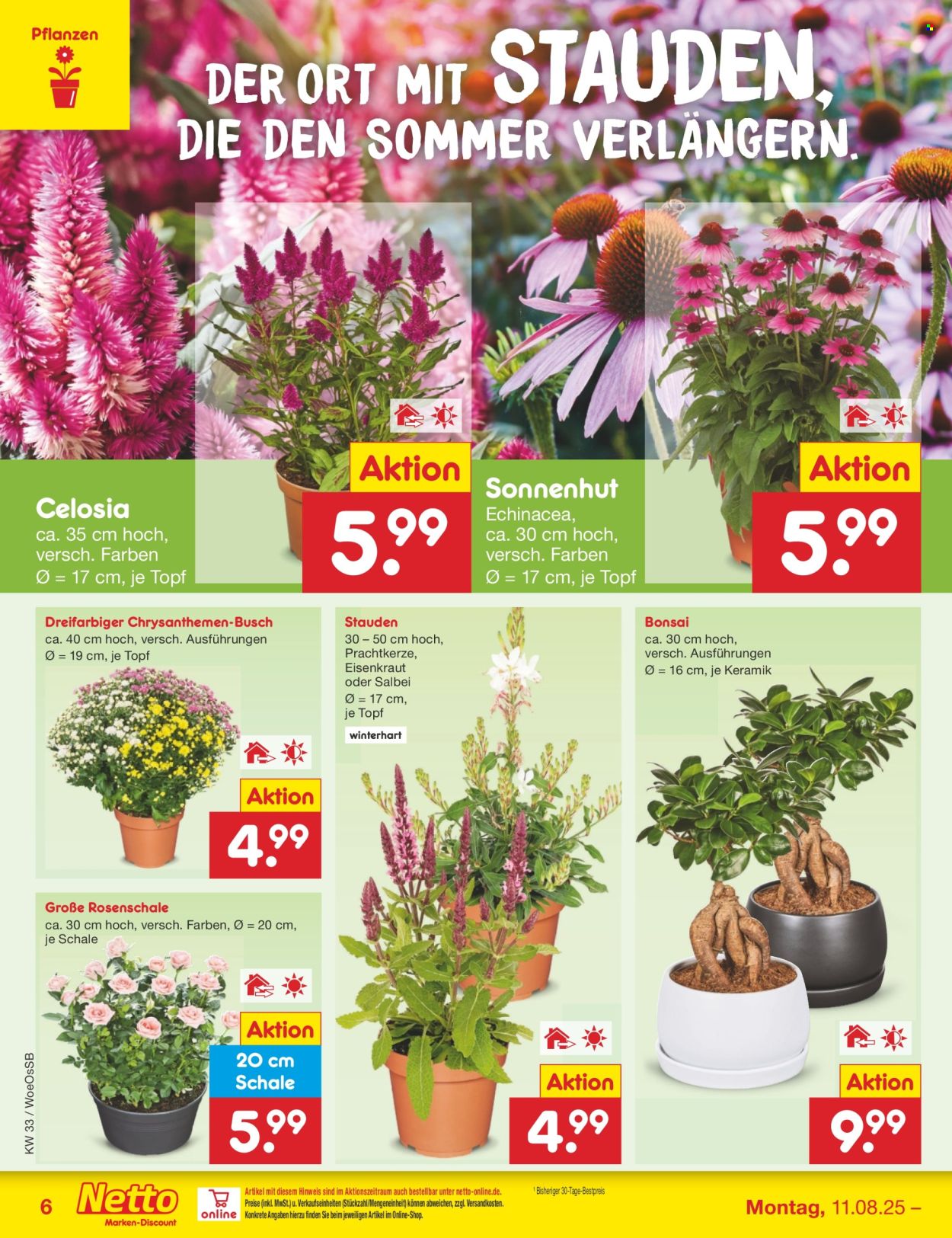 Netto Marken-Discount Prospekte  - 11.08.2025 - 16.08.2025. Seite 8