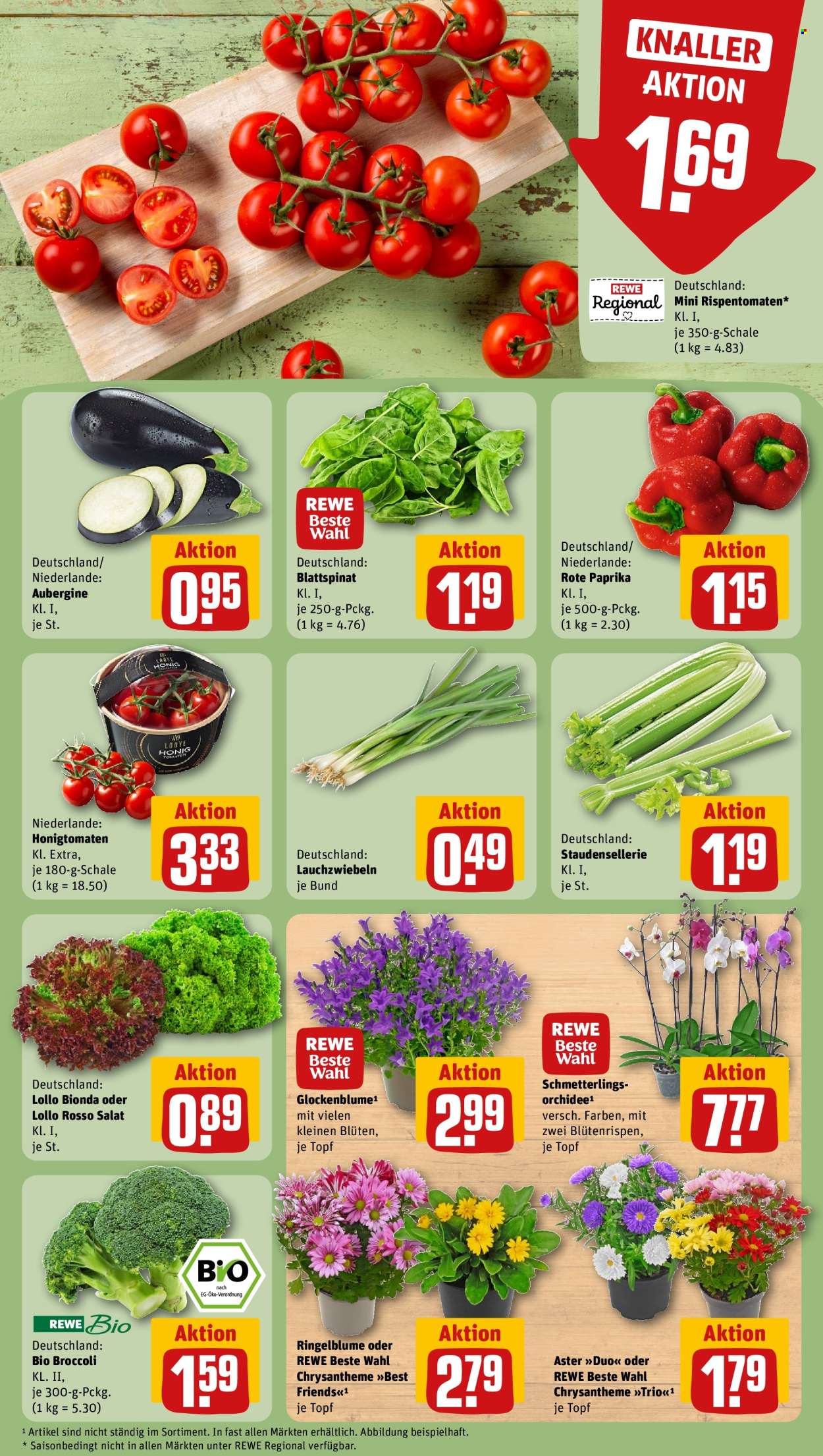 REWE Prospekte  - 11.08.2025 - 17.08.2025. Seite 7