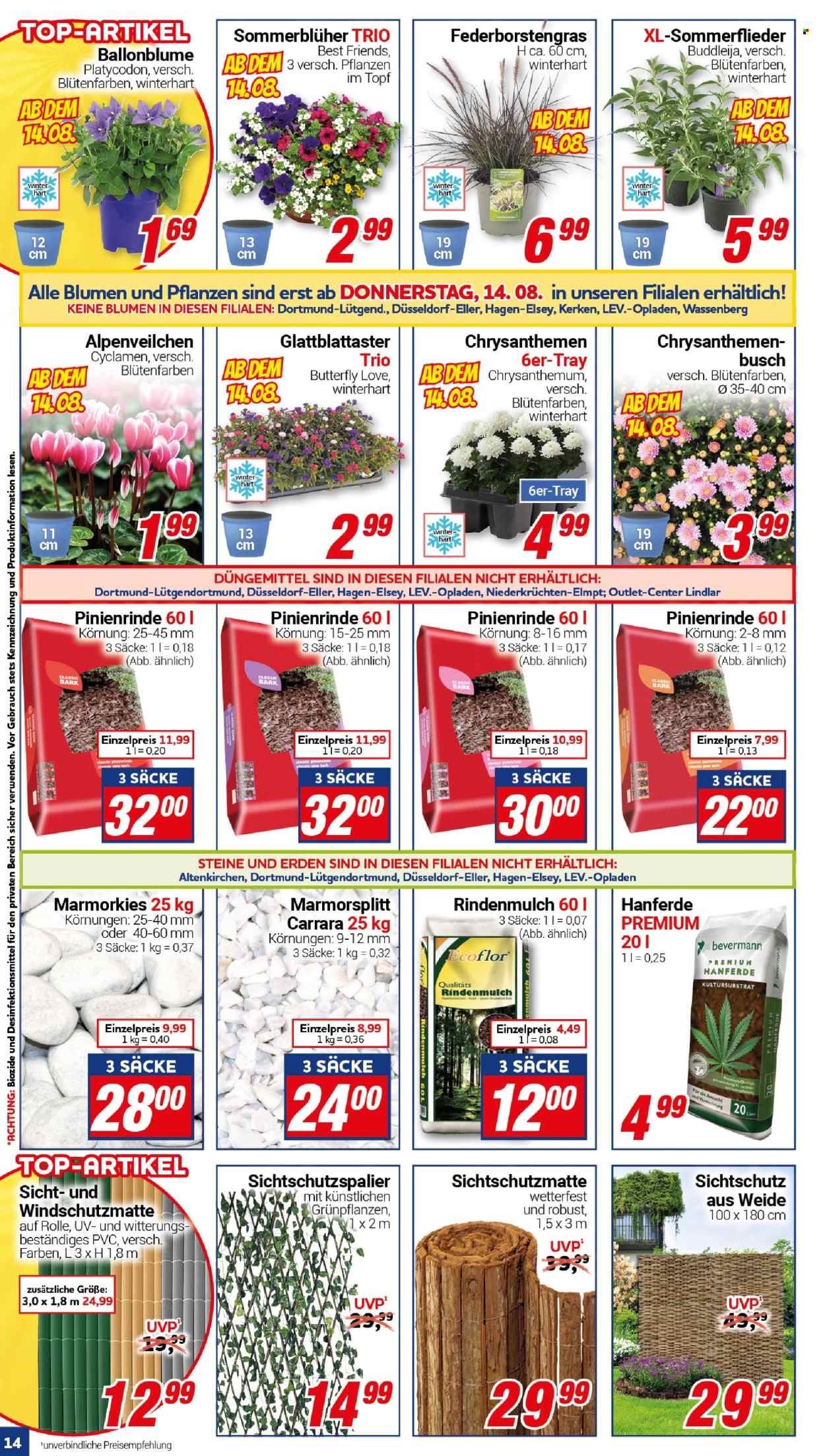 CENTERSHOP Prospekte  - 11.08.2025 - 16.08.2025. Seite 14