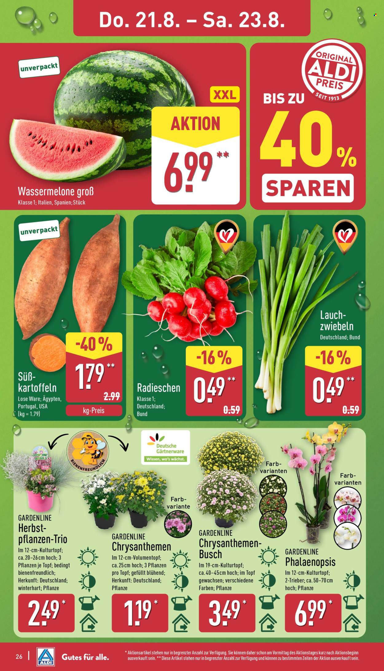 ALDI Nord Prospekte  - 18.08.2025 - 23.08.2025. Seite 26
