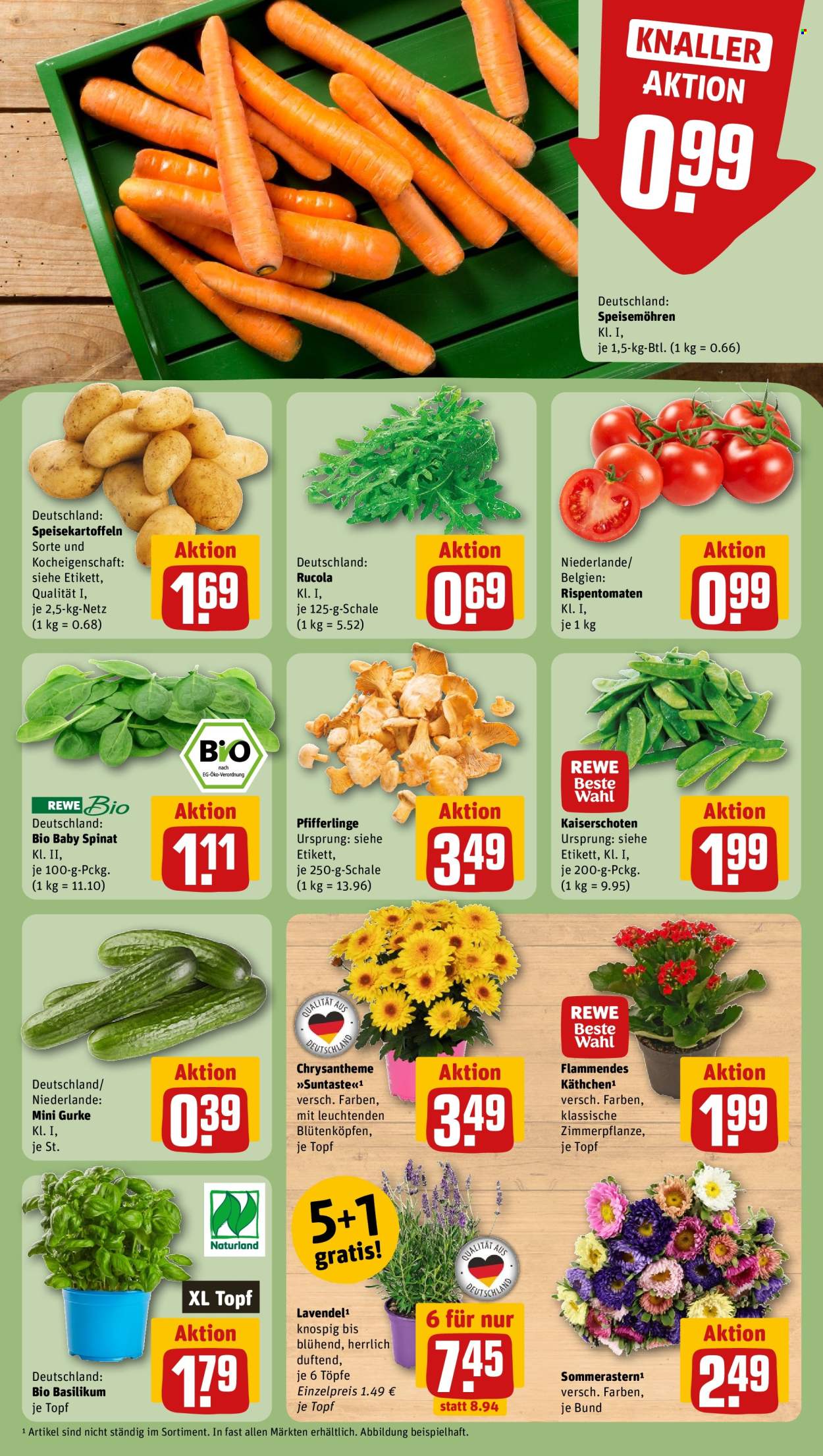 REWE Prospekte  - 18.08.2025 - 24.08.2025. Seite 7