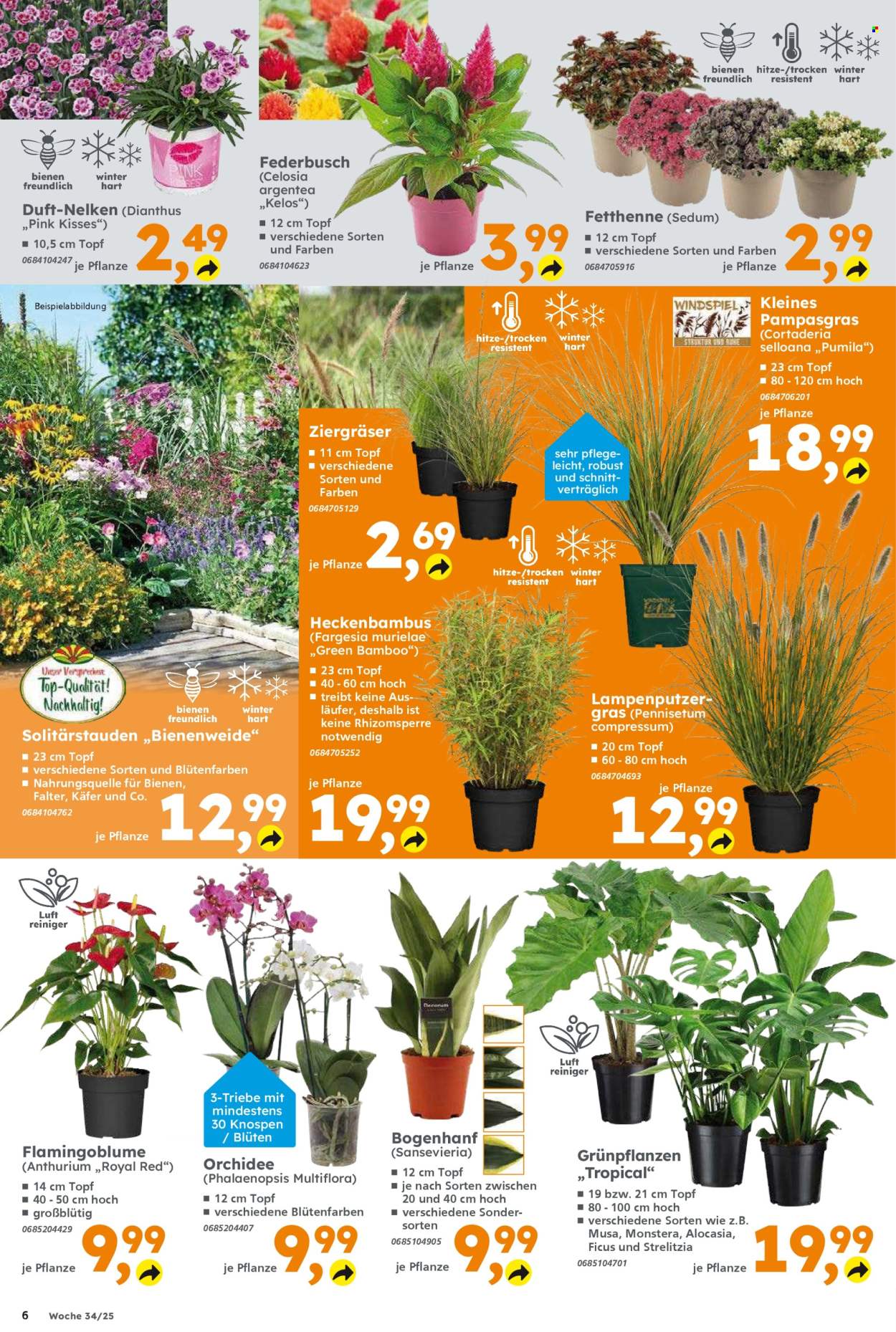 Globus Baumarkt Prospekte  - 18.08.2025 - 23.08.2025. Seite 6