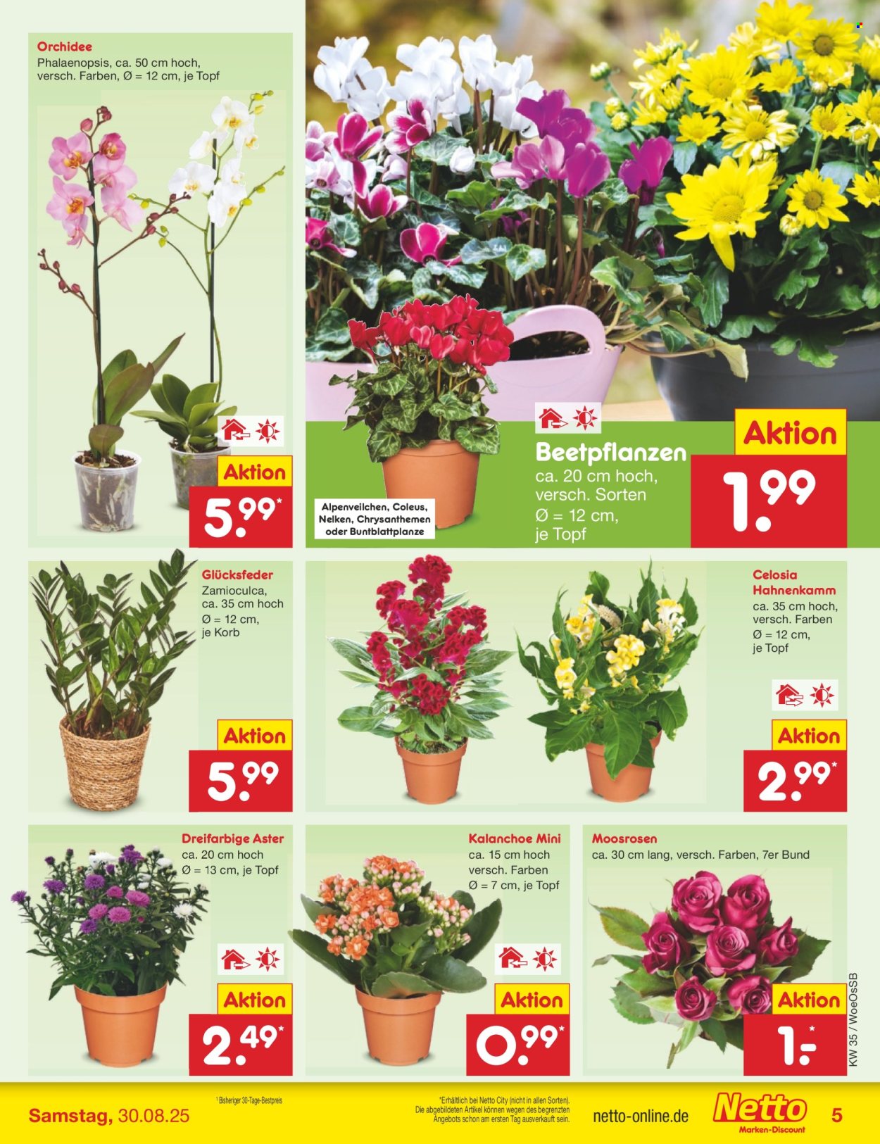 Netto Marken-Discount Prospekte  - 25.08.2025 - 30.08.2025. Seite 5