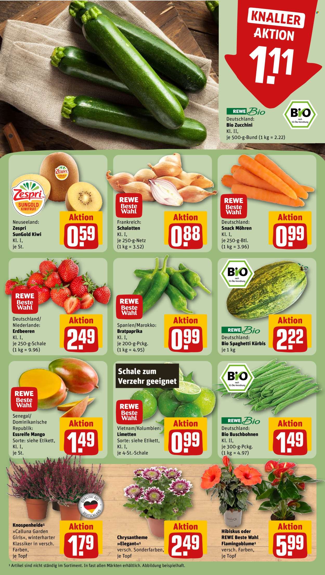REWE Prospekte  - 25.08.2025 - 31.08.2025. Seite 7