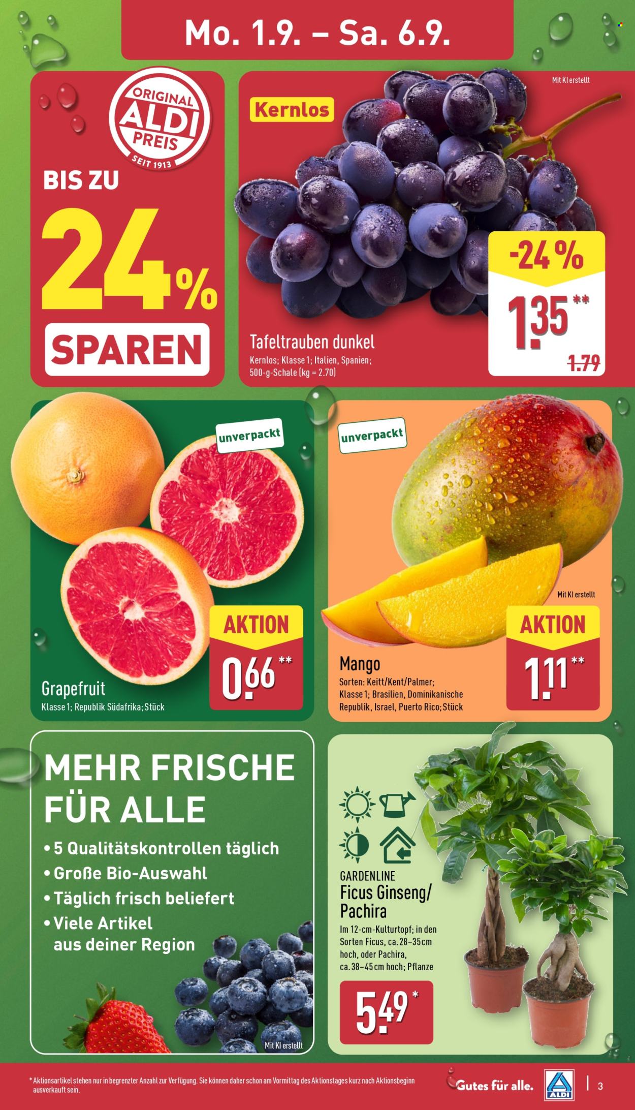 ALDI Nord Prospekte  - 1.09.2025 - 6.09.2025. Seite 3
