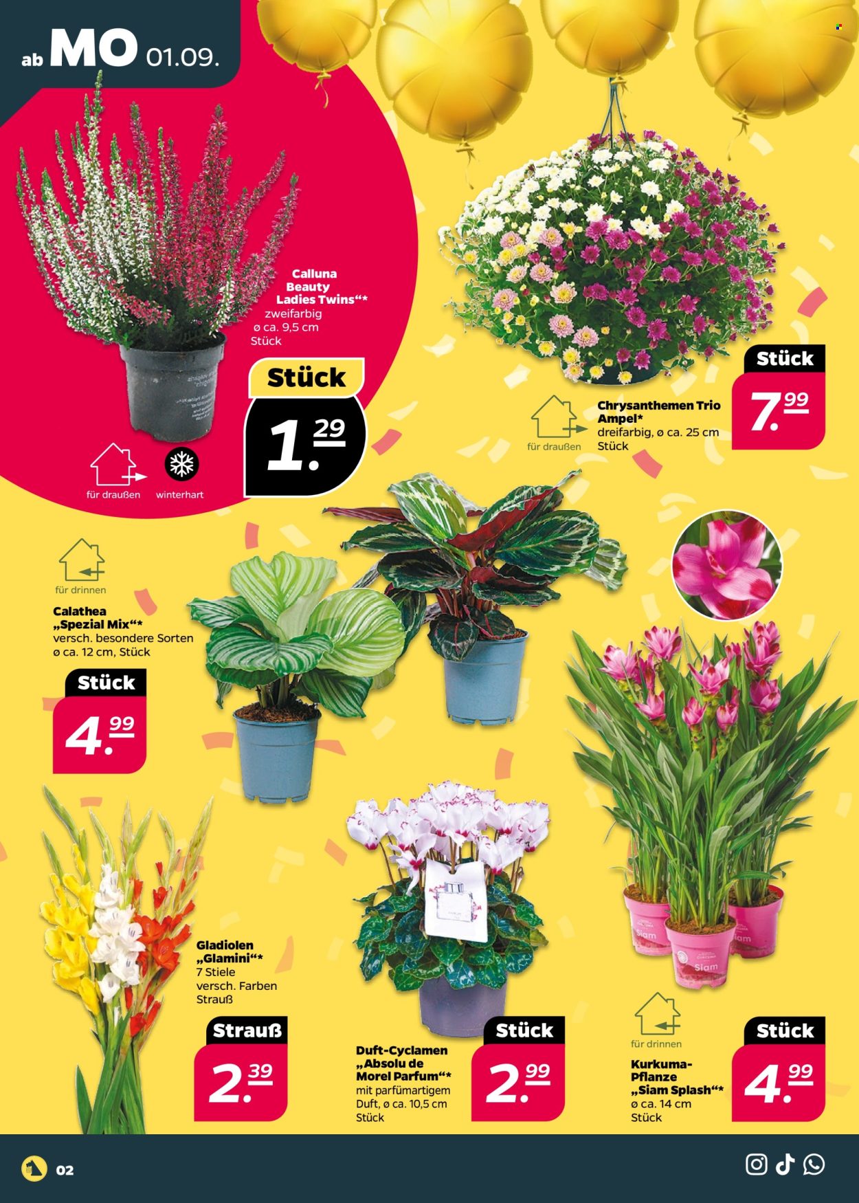 Netto Prospekte  - 1.09.2025 - 6.09.2025. Seite 2