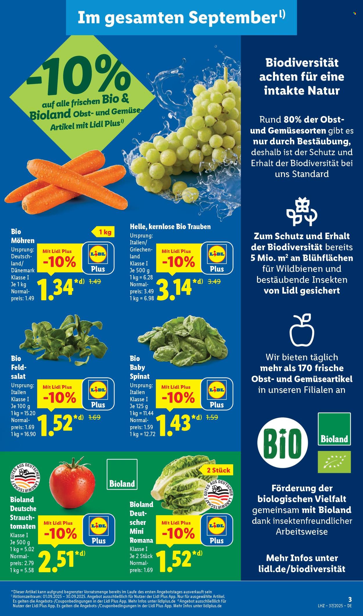 Lidl Prospekte  - 8.09.2025 - 13.09.2025. Seite 3