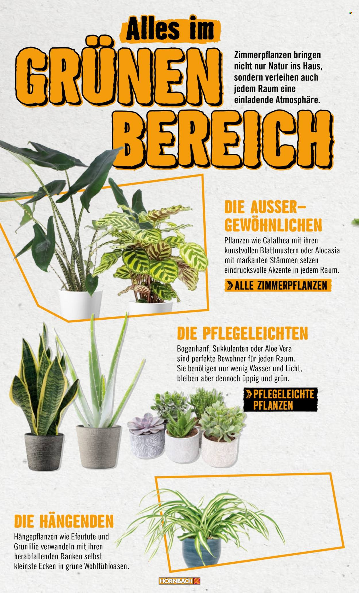 Hornbach Prospekte . Seite 24
