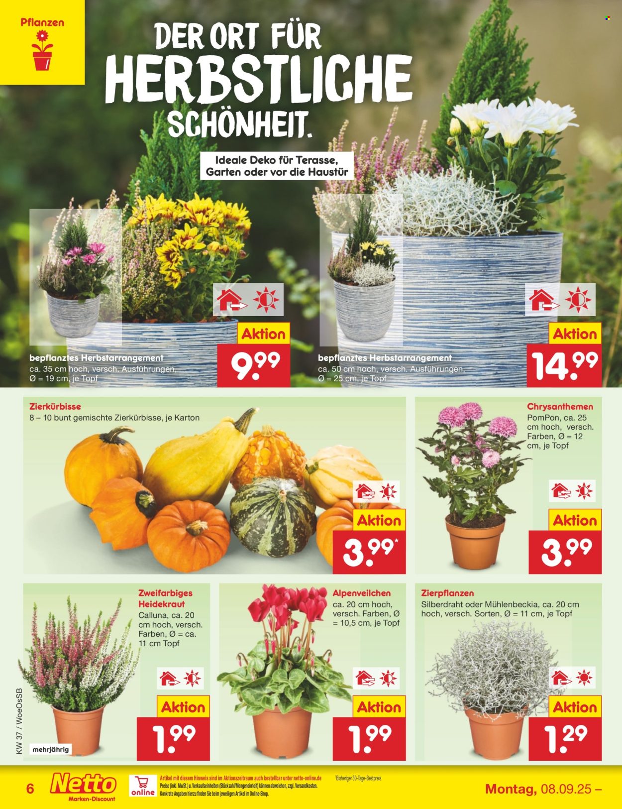 Netto Marken-Discount Prospekte  - 8.09.2025 - 13.09.2025. Seite 8