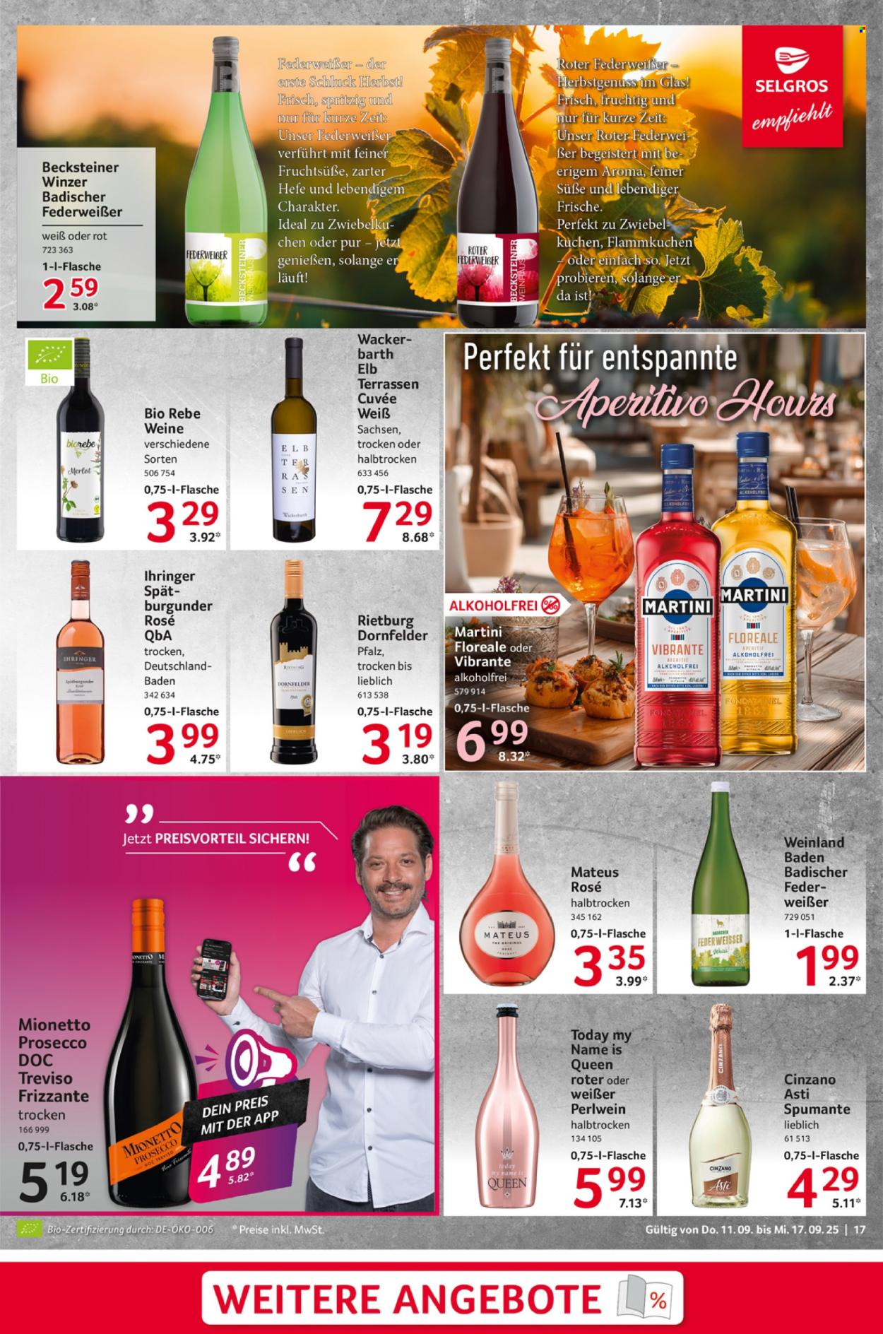 Selgros Prospekte  - 11.09.2025 - 17.09.2025. Seite 17