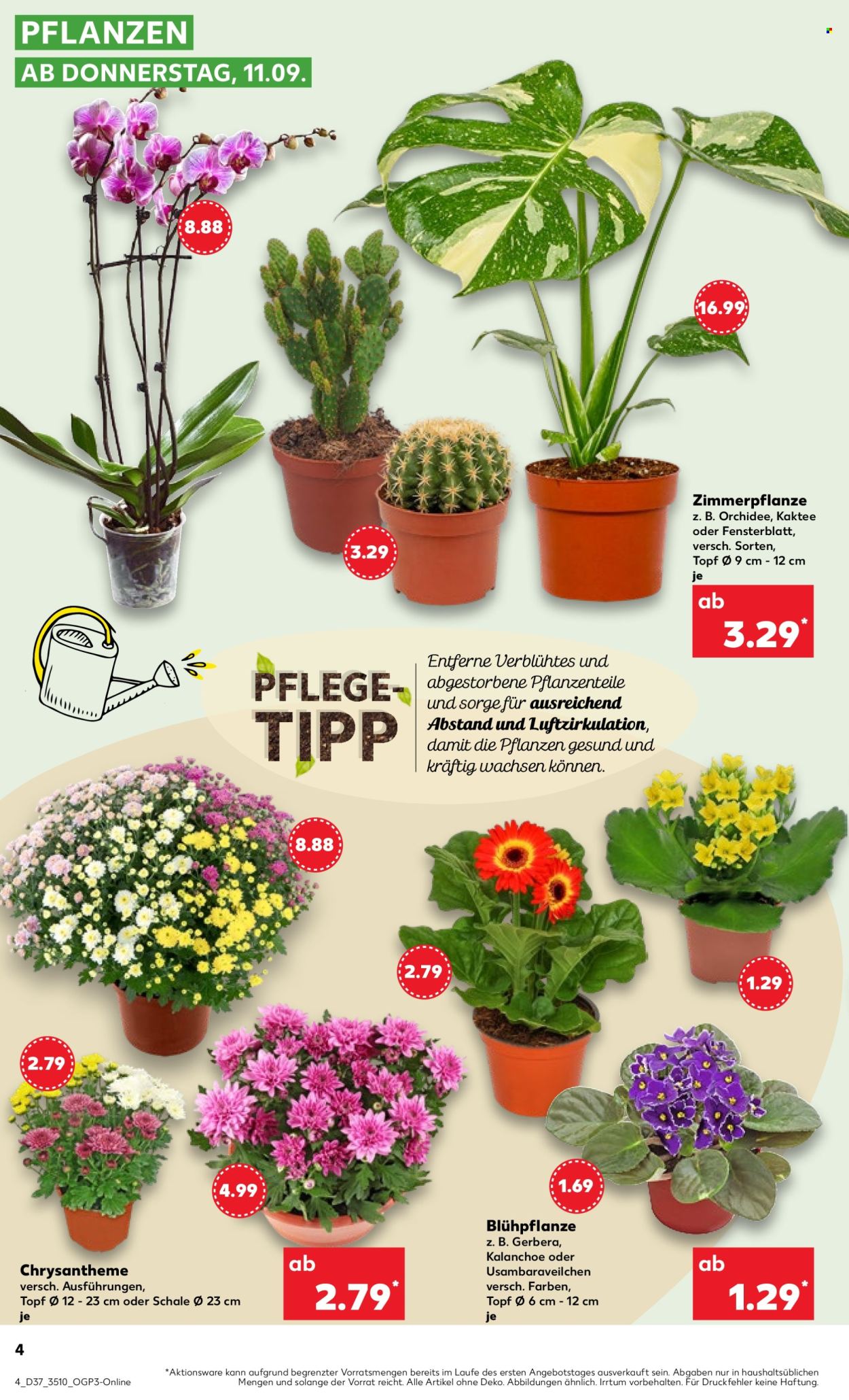 Kaufland Prospekte  - 11.09.2025 - 17.09.2025. Seite 4