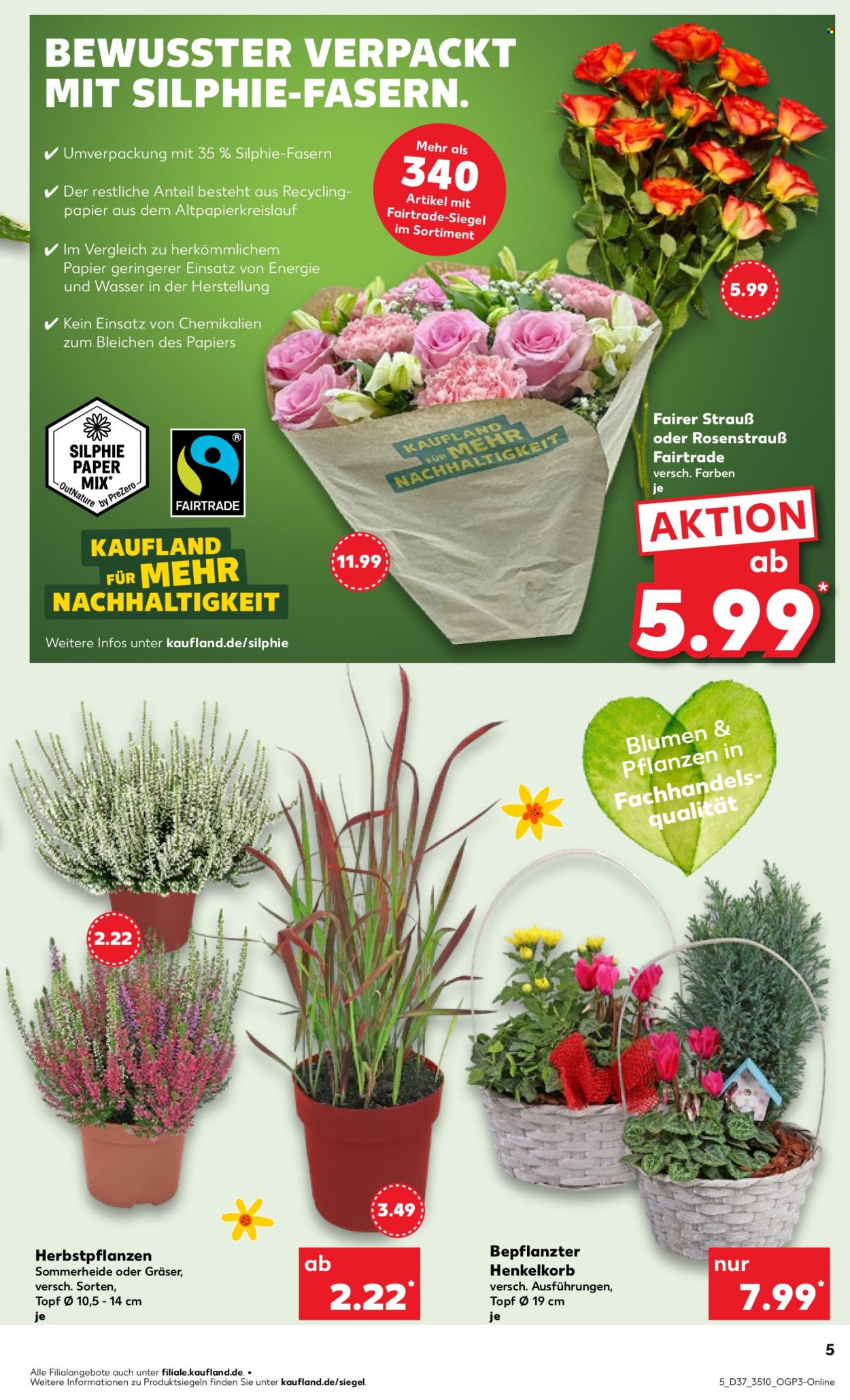 Kaufland Prospekte  - 11.09.2025 - 17.09.2025. Seite 5