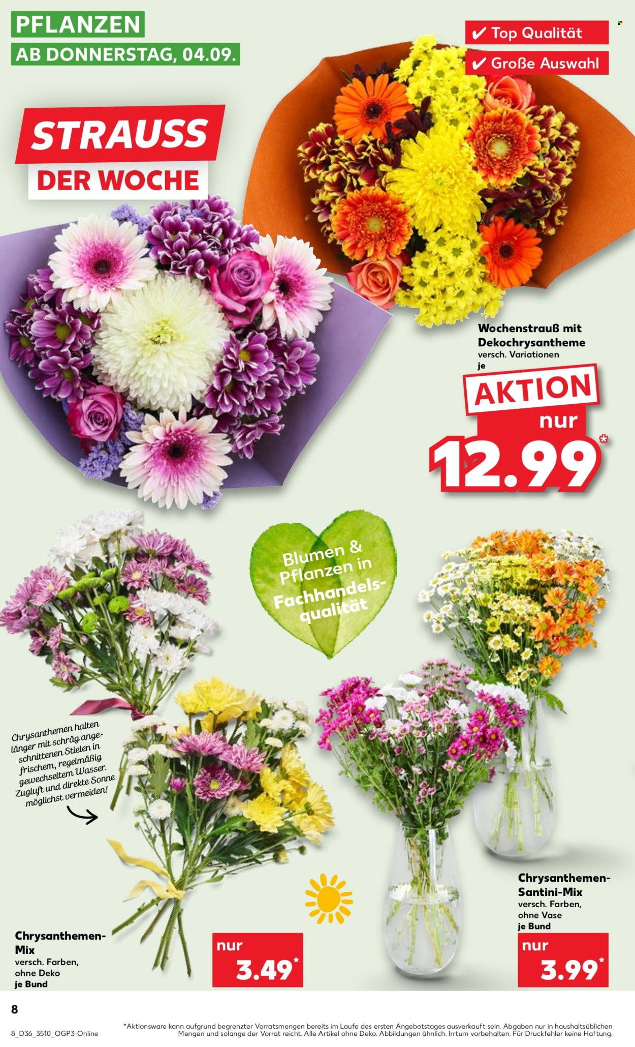 Kaufland Prospekte  - 8.09.2025 - 10.09.2025. Seite 8