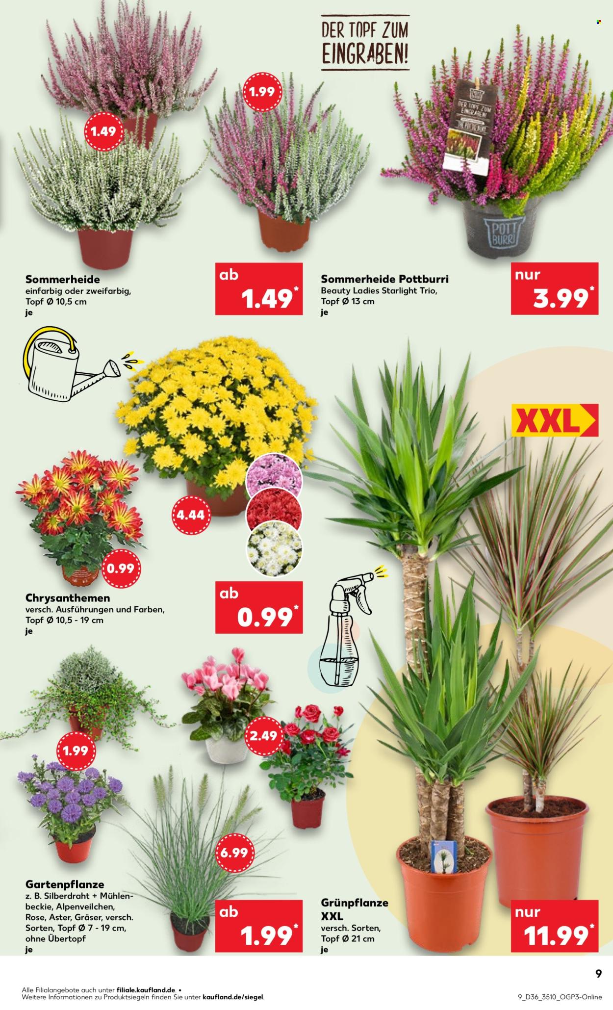 Kaufland Prospekte  - 8.09.2025 - 10.09.2025. Seite 9