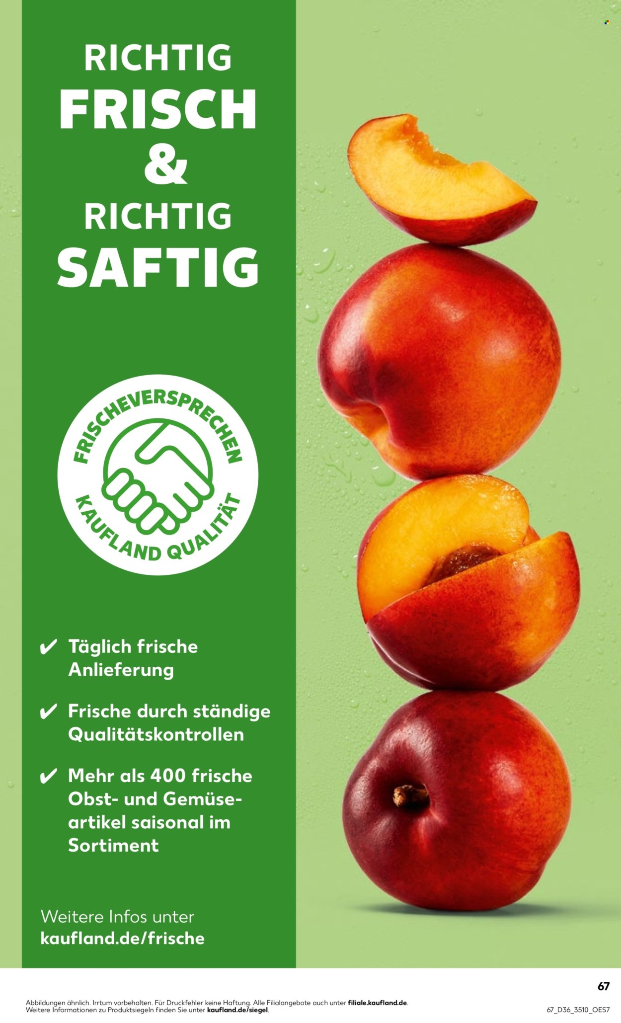 Kaufland Prospekte  - 8.09.2025 - 10.09.2025. Seite 67