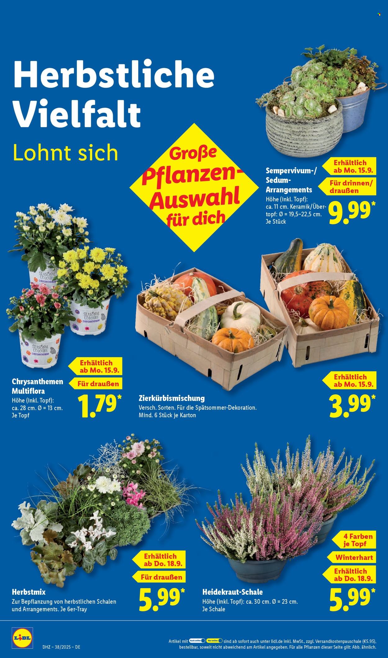 Lidl Prospekte  - 15.09.2025 - 20.09.2025. Seite 24