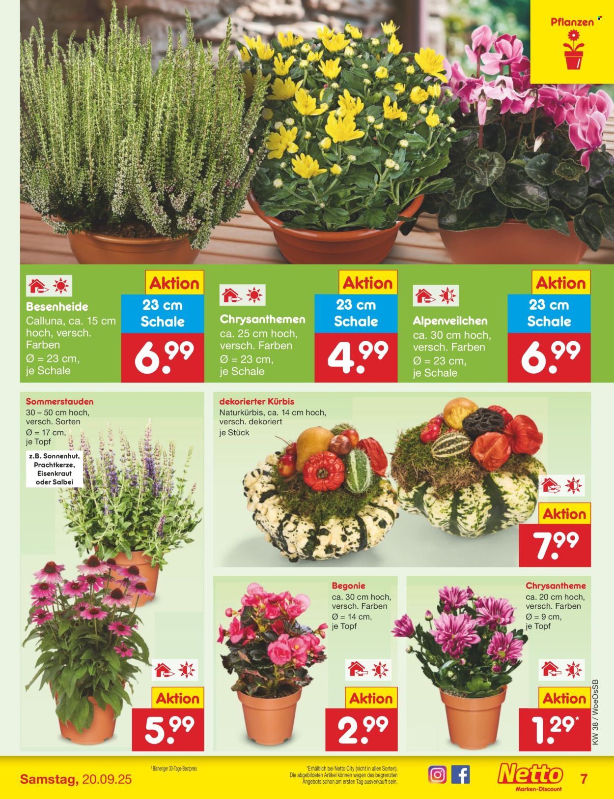 Netto Marken-Discount Prospekte  - 15.09.2025 - 20.09.2025. Seite 8