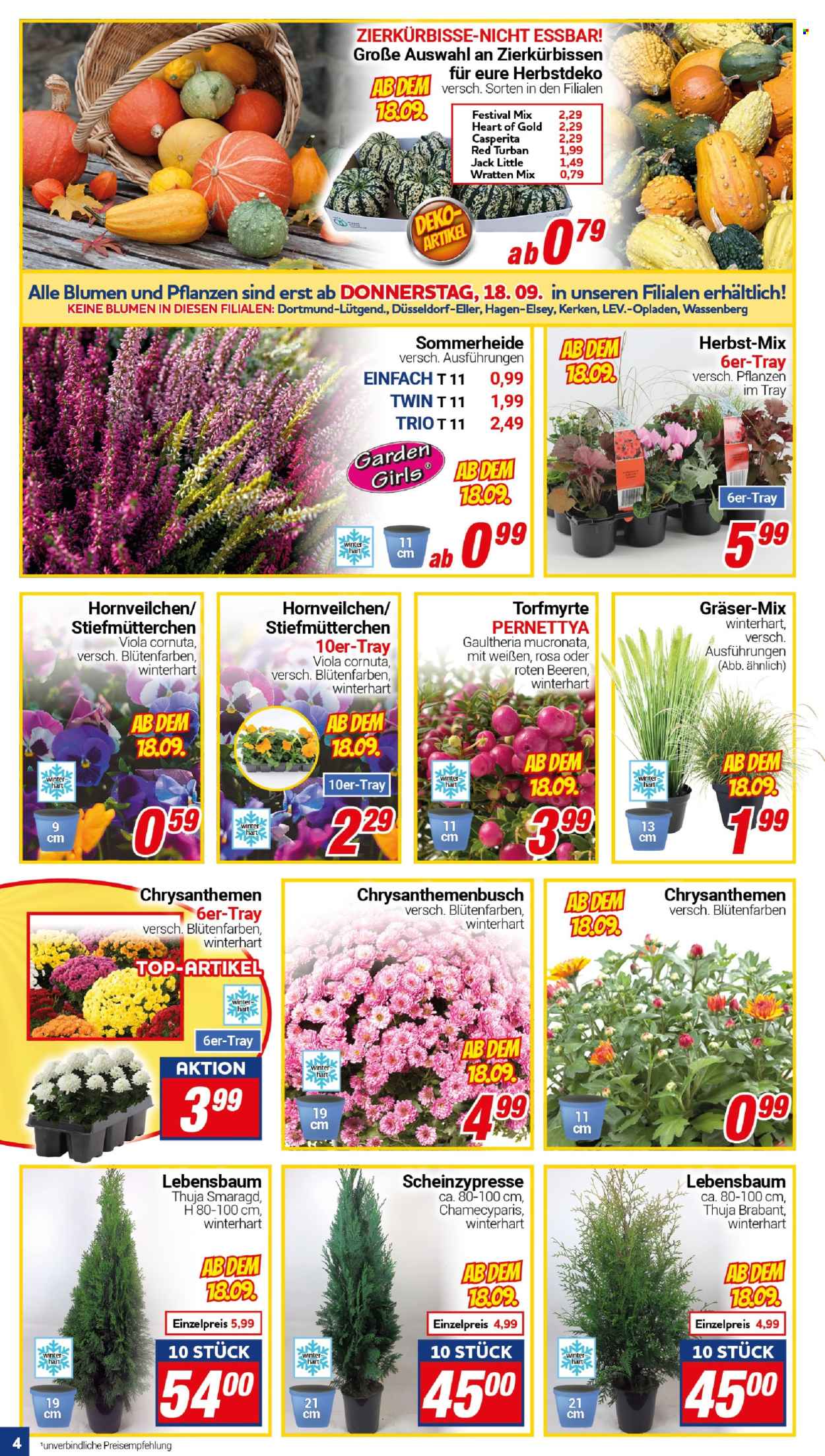 CENTERSHOP Prospekte  - 15.09.2025 - 20.09.2025. Seite 4