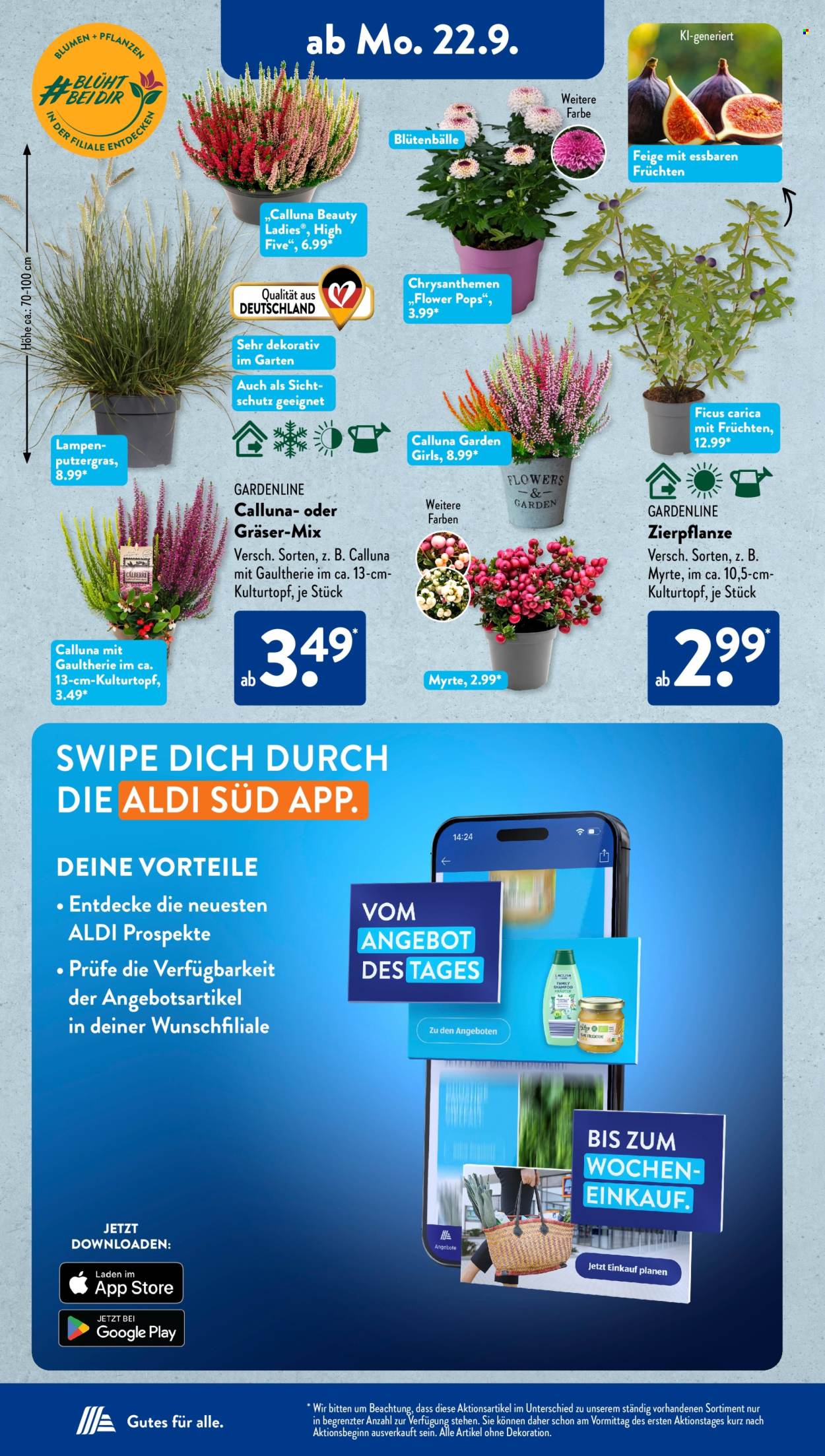 ALDI SÜD Prospekte  - 22.09.2025 - 27.09.2025. Seite 16