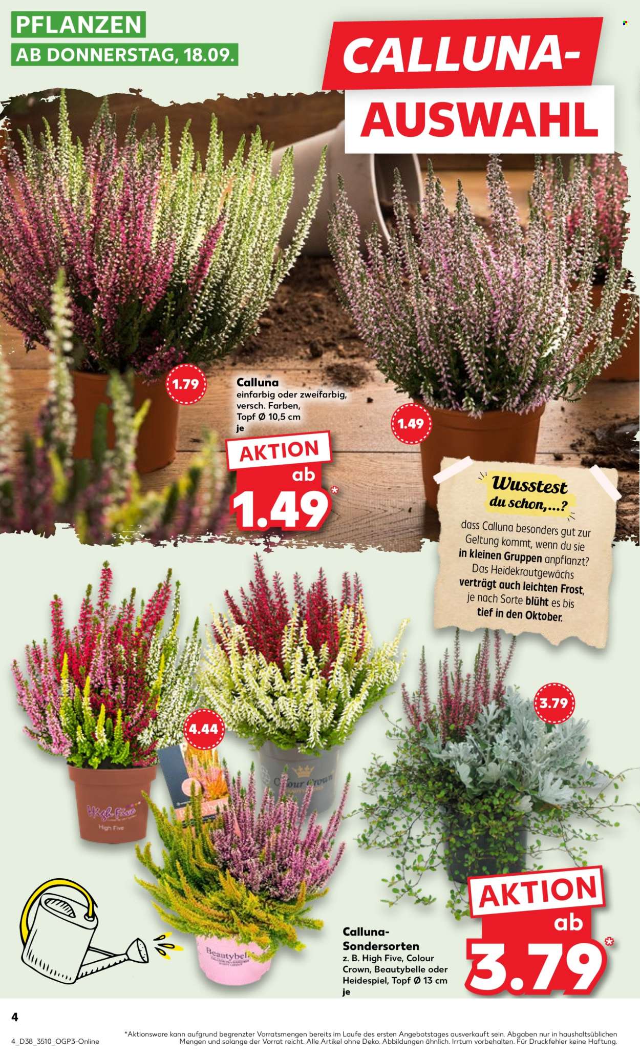 Kaufland Prospekte  - 18.09.2025 - 24.09.2025. Seite 4