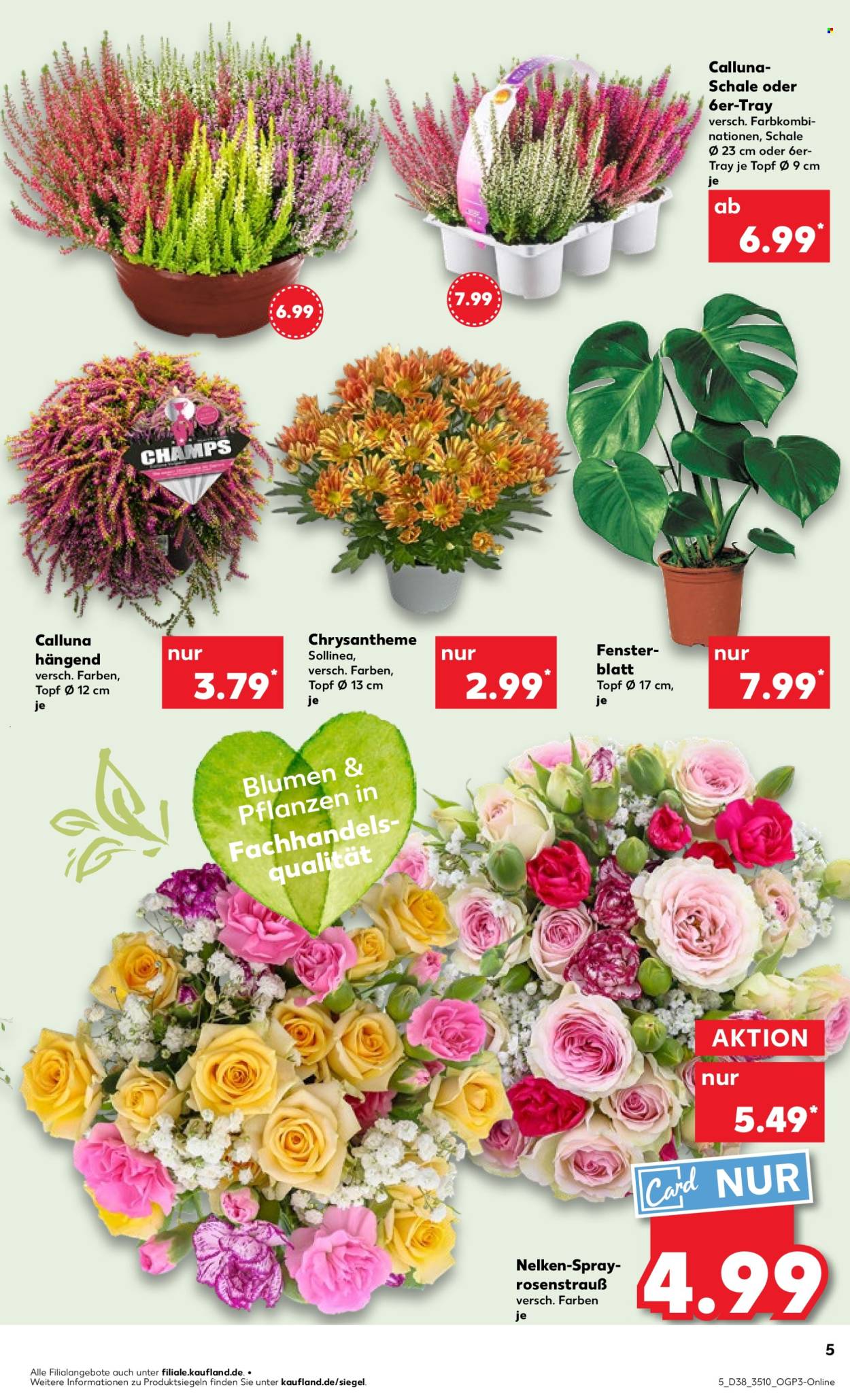 Kaufland Prospekte  - 18.09.2025 - 24.09.2025. Seite 5