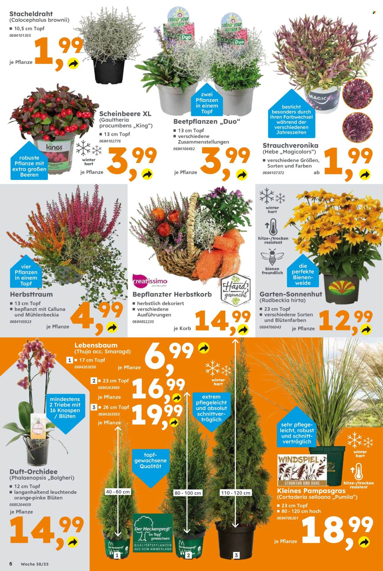 Globus Baumarkt Prospekte  - 15.09.2025 - 20.09.2025. Seite 6