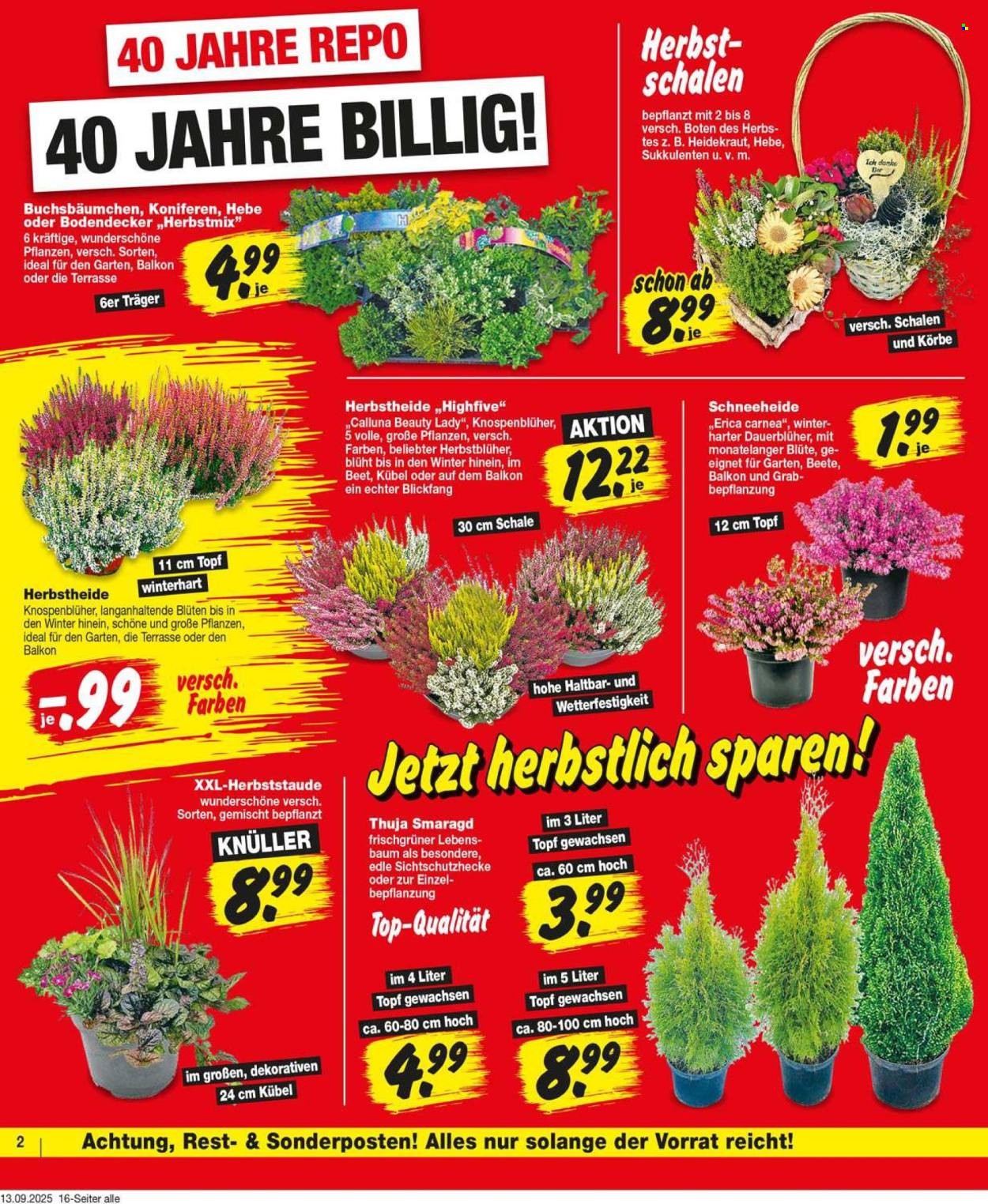 Repo Prospekte  - 15.09.2025 - 20.09.2025. Seite 2