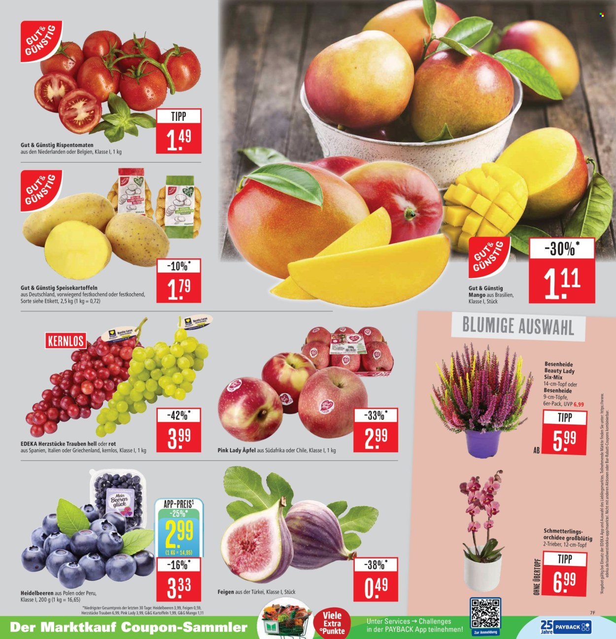 Marktkauf Prospekte  - 15.09.2025 - 20.09.2025. Seite 7