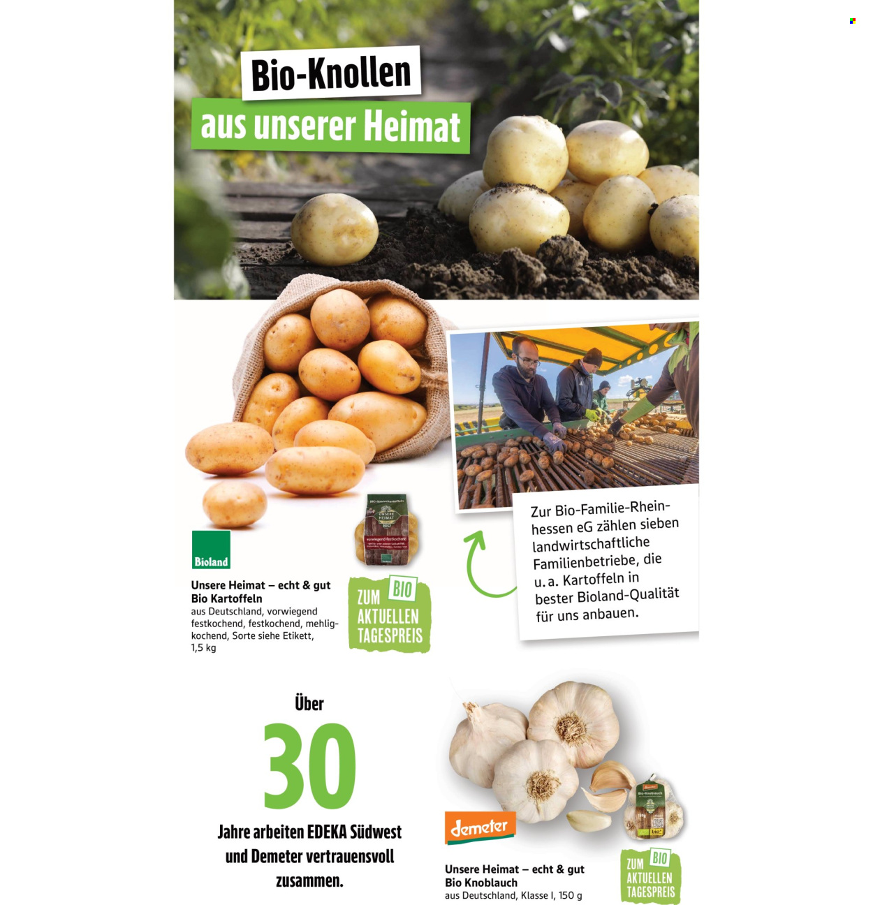 Marktkauf Prospekte  - 15.09.2025 - 20.09.2025. Seite 33