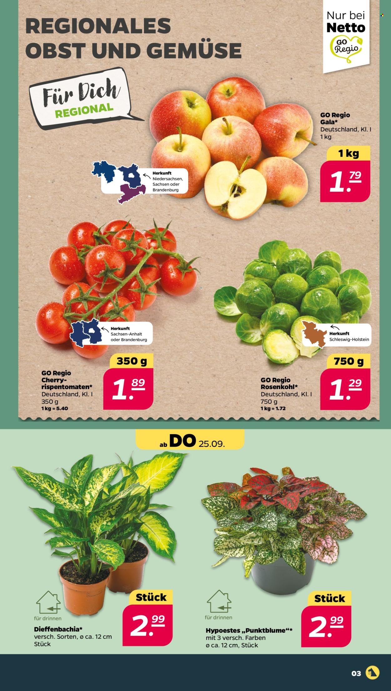 Netto Prospekte  - 22.09.2025 - 27.09.2025. Seite 3