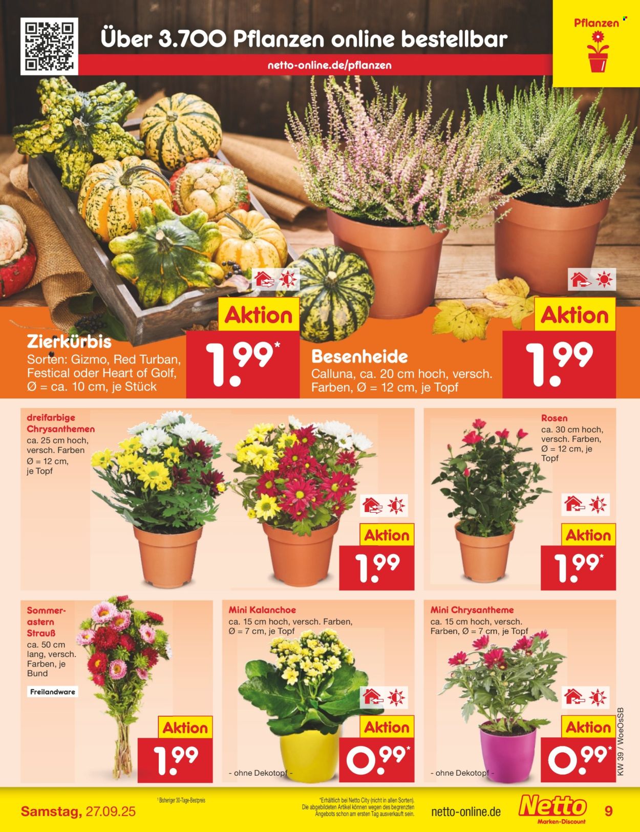 Netto Marken-Discount Prospekte  - 22.09.2025 - 27.09.2025. Seite 9
