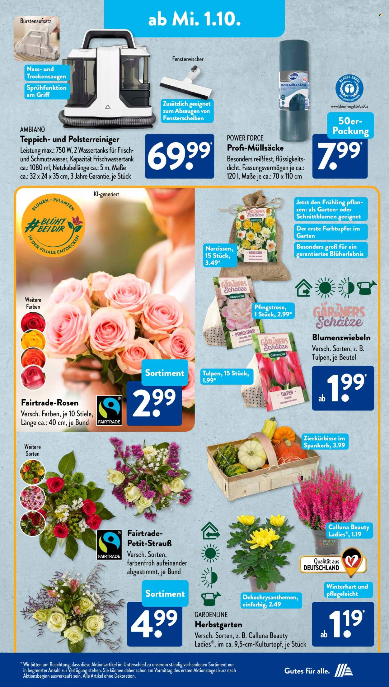 ALDI SÜD Prospekte  - 29.09.2025 - 4.10.2025. Seite 19