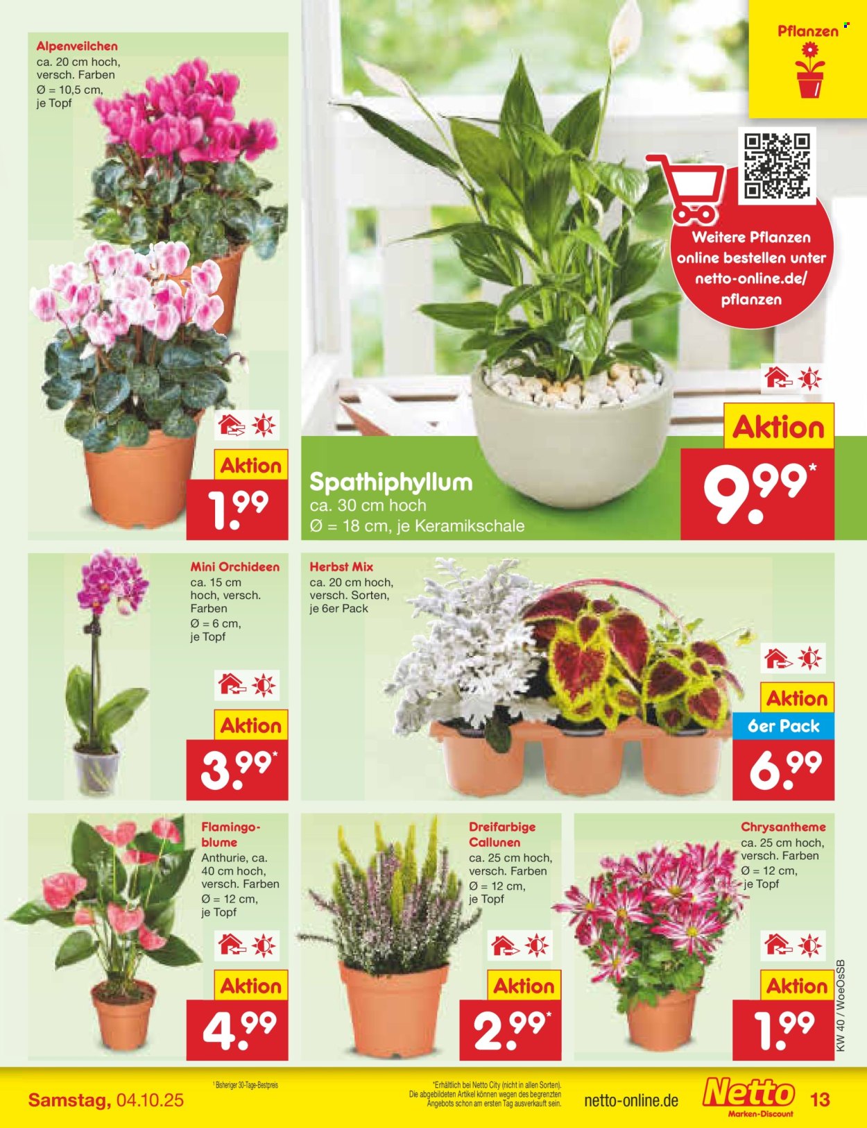Netto Marken-Discount Prospekte  - 29.09.2025 - 4.10.2025. Seite 13