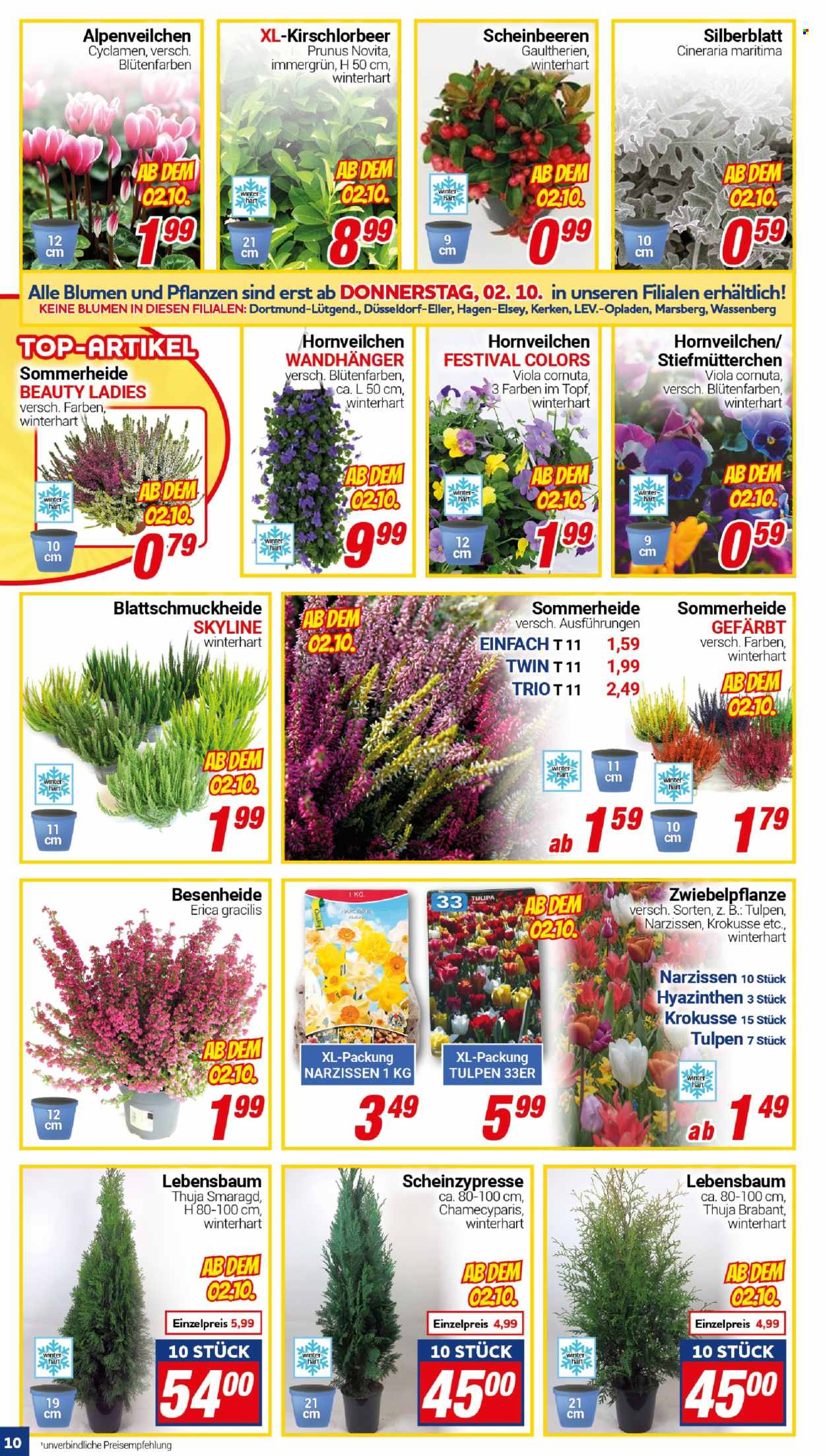 CENTERSHOP Prospekte  - 29.09.2025 - 4.10.2025. Seite 10