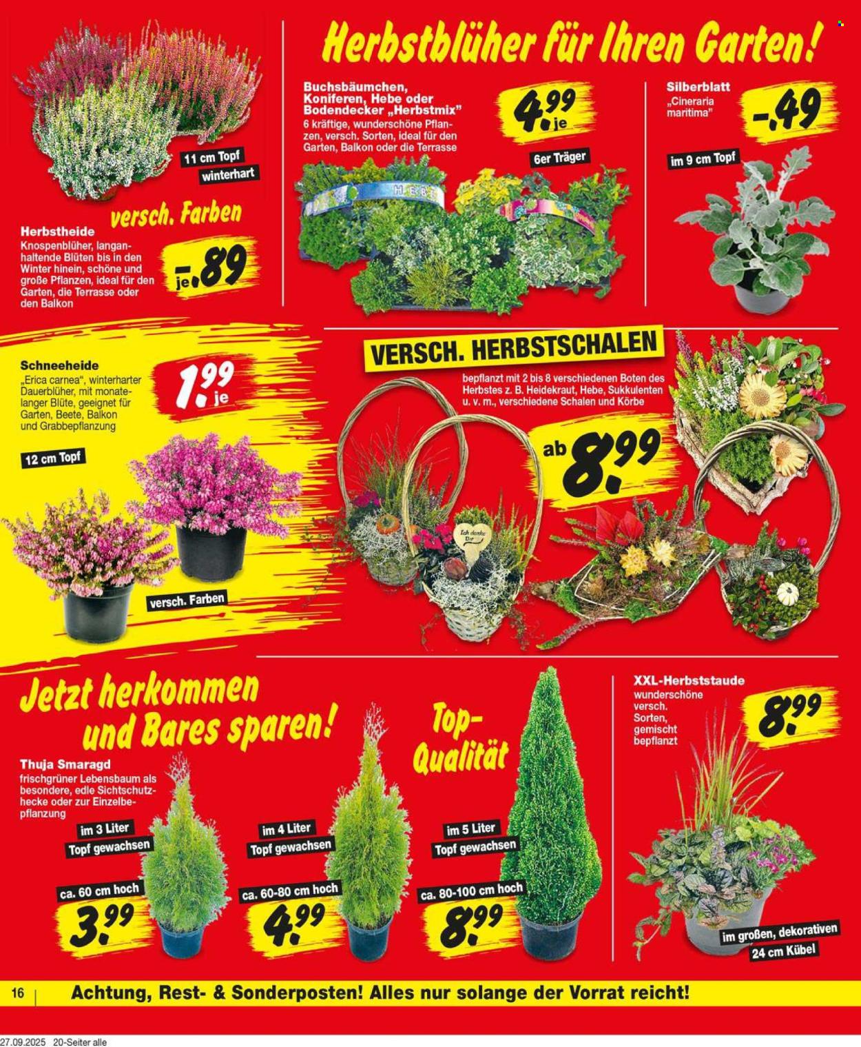 Repo Prospekte  - 29.09.2025 - 4.10.2025. Seite 16