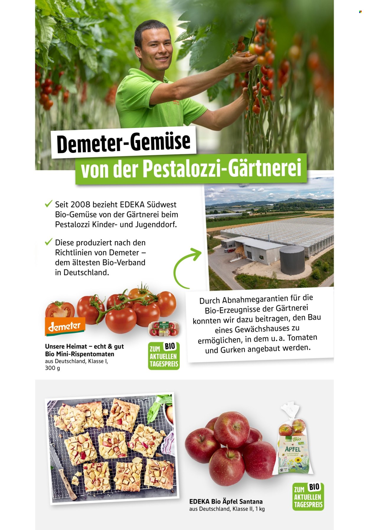 Scheck-in Prospekte  - 29.09.2025 - 4.10.2025. Seite 43
