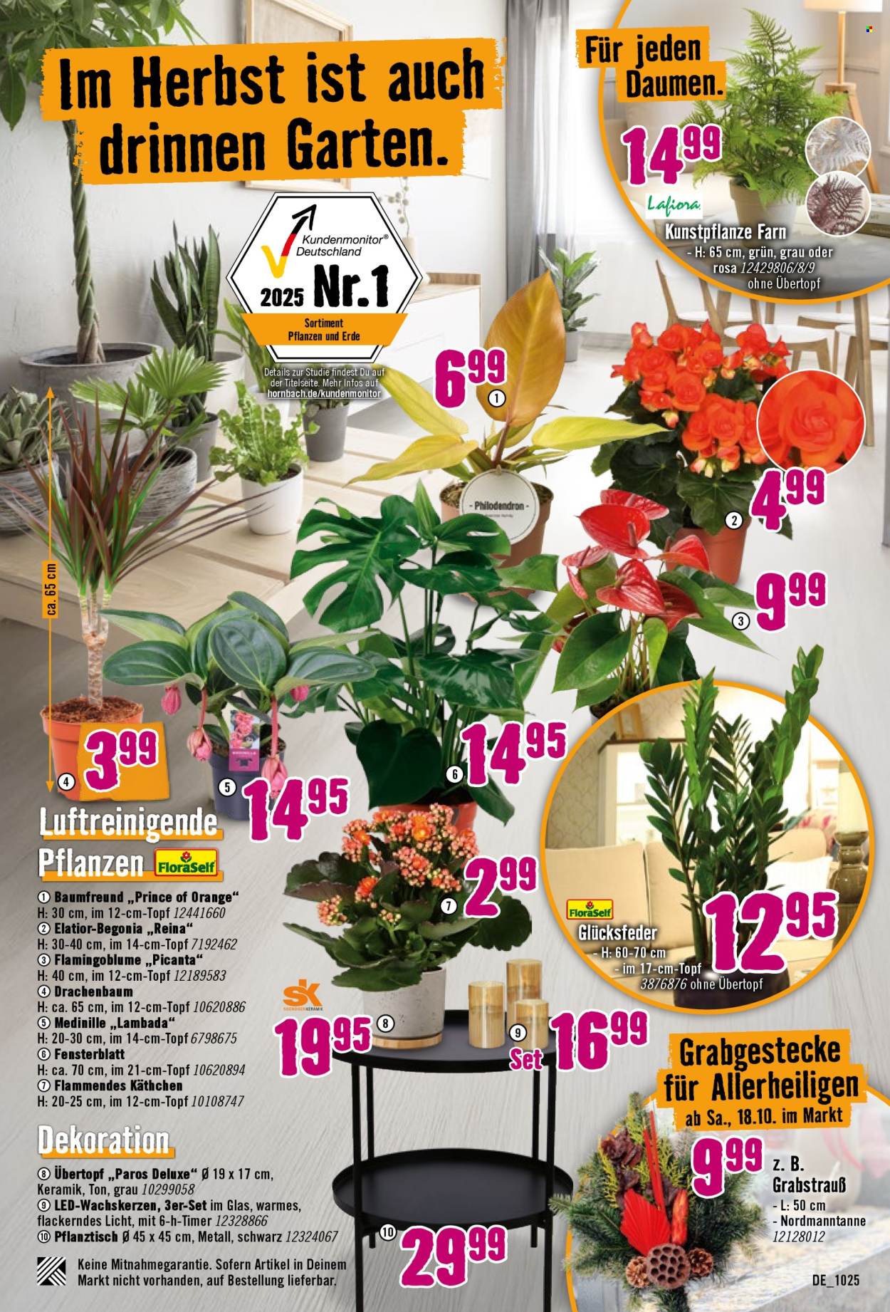 Hornbach Prospekte  - 1.10.2025 - 29.10.2025. Seite 27