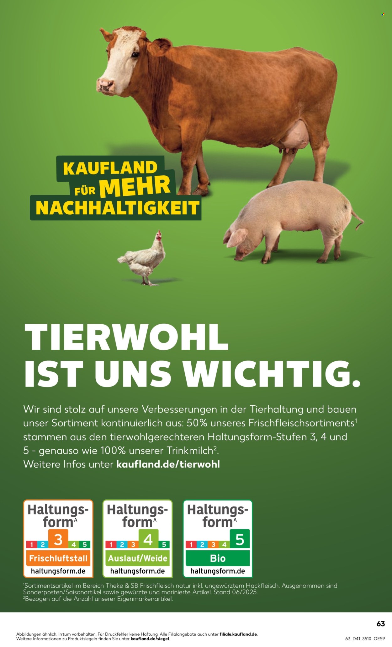 Kaufland Prospekte  - 9.10.2025 - 15.10.2025. Seite 63