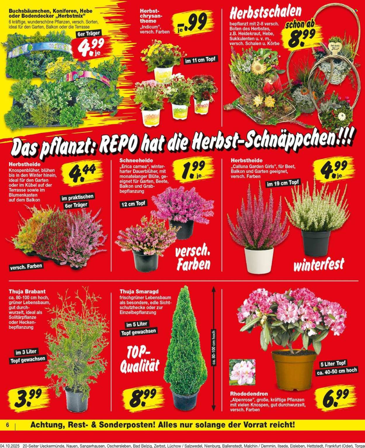 Repo Prospekte  - 6.10.2025 - 11.10.2025. Seite 6