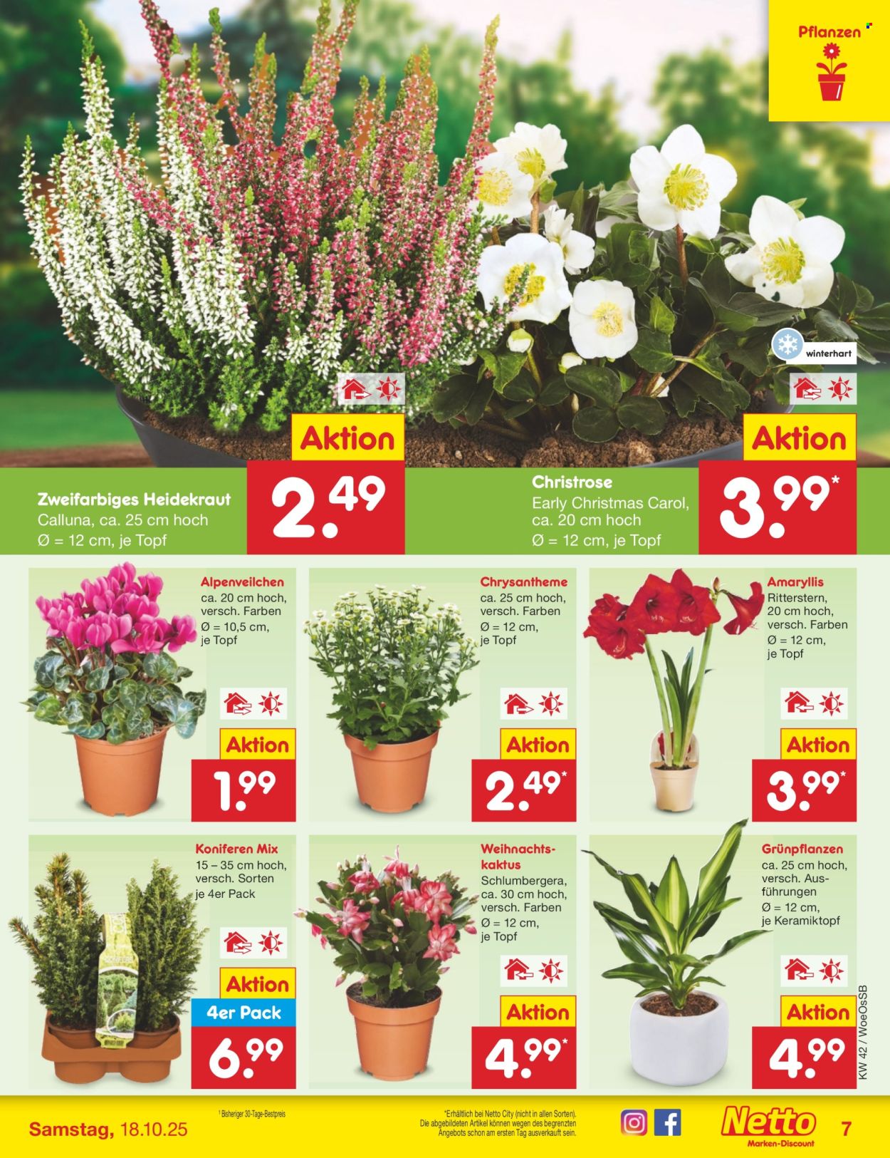 Netto Marken-Discount Prospekte  - 13.10.2025 - 18.10.2025. Seite 7