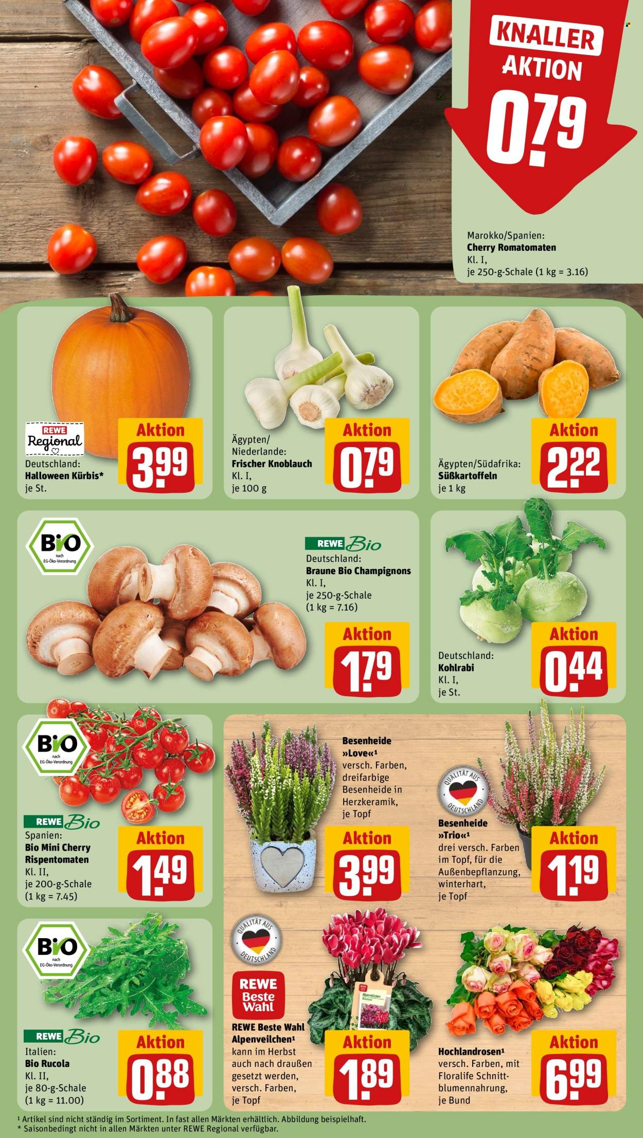 REWE Prospekte  - 13.10.2025 - 19.10.2025. Seite 7